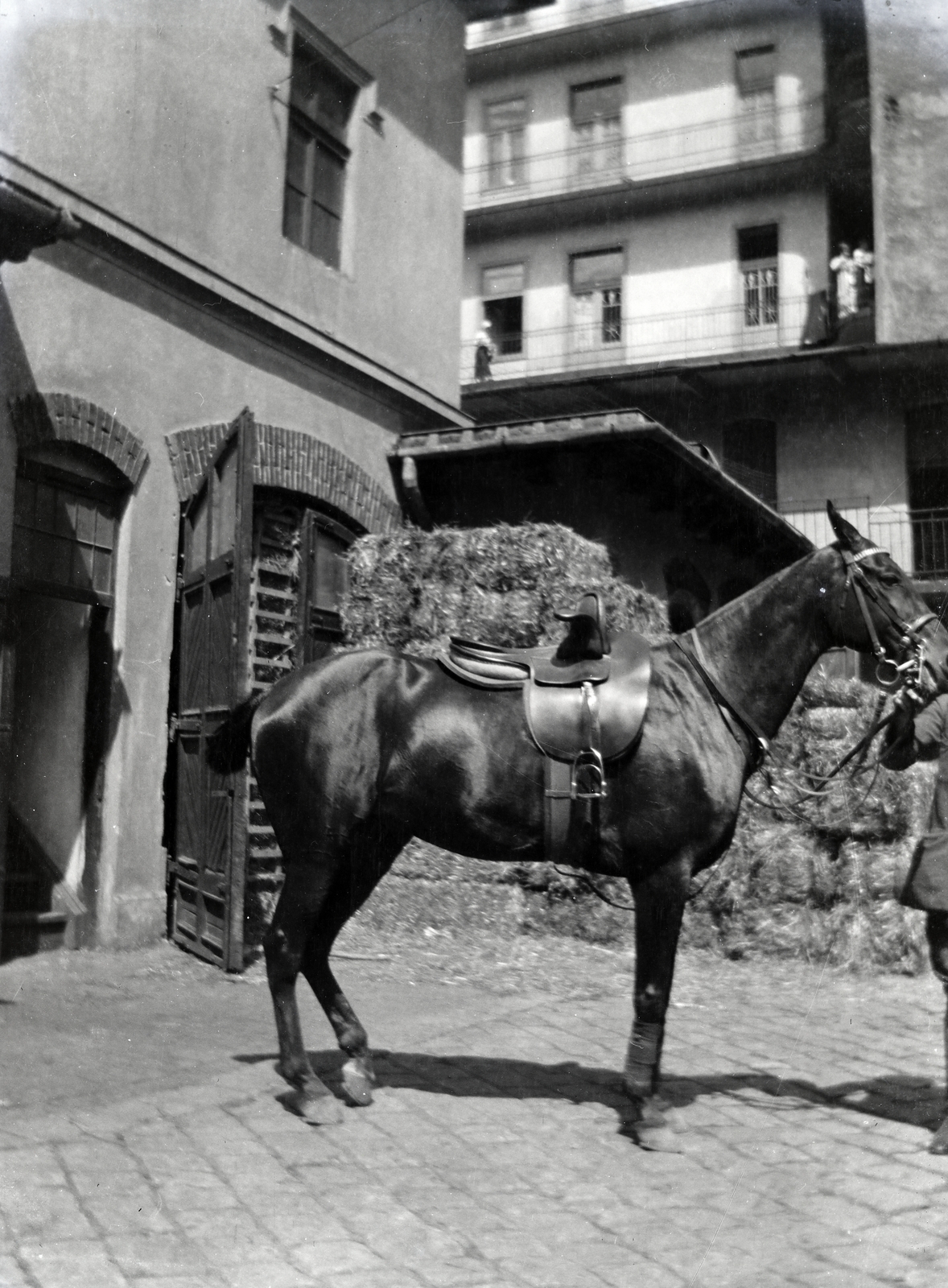 1915, Zichy kúria, Zala, stable, horse, saddle, women's saddles, Fortepan #264046
