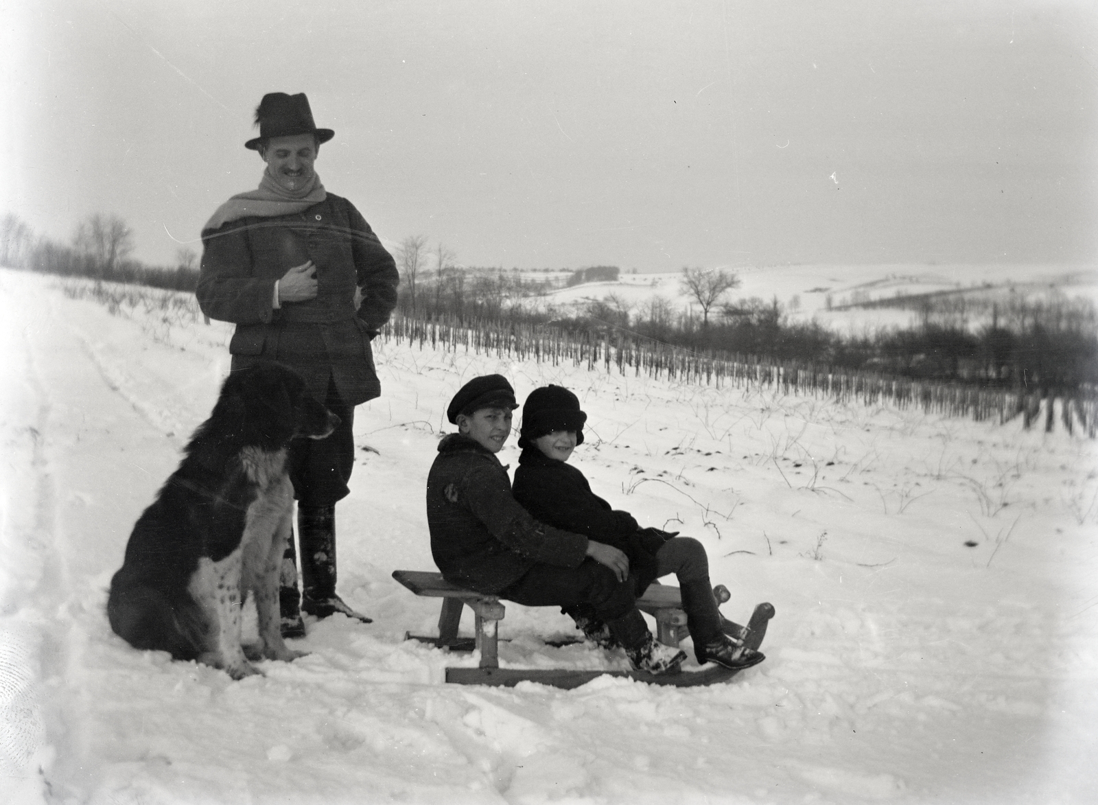 1926, Zichy kúria, Zala, dog, sledge, Fortepan #264047