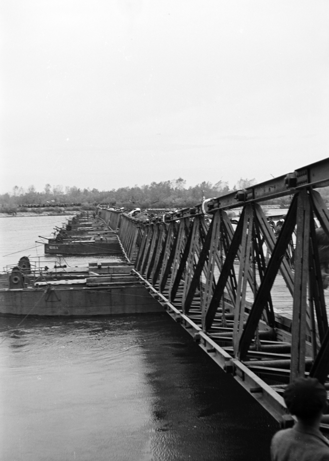 Hungary, a magyar csapatok szlovákiai bevonulására készített Medve felé vezető pontonhíd a Dunán., 1938, Nagy István, Danube, conscription, bear, pontoon bridge, Fortepan #264160