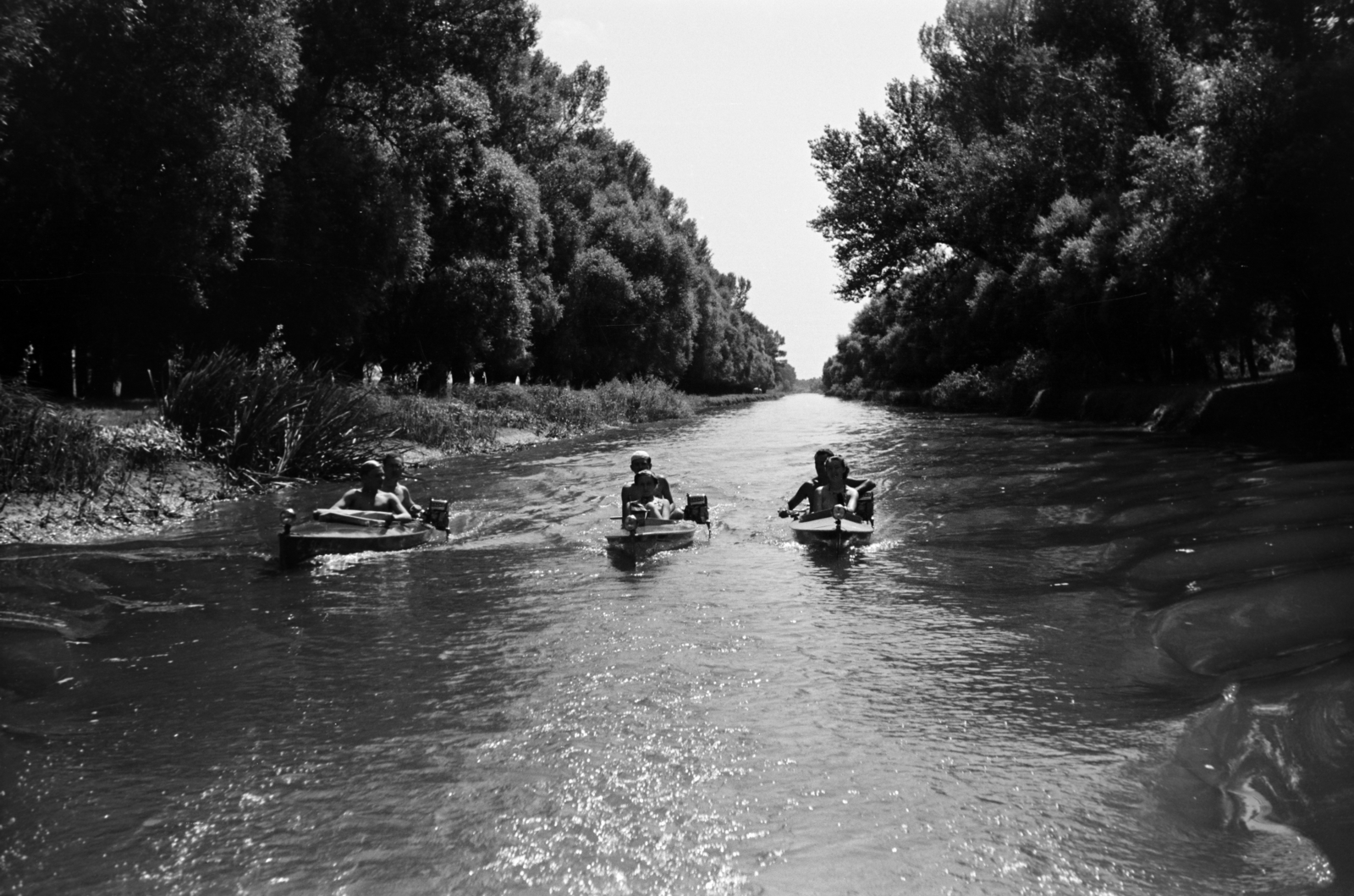 1938, Nagy István, Fortepan #264260