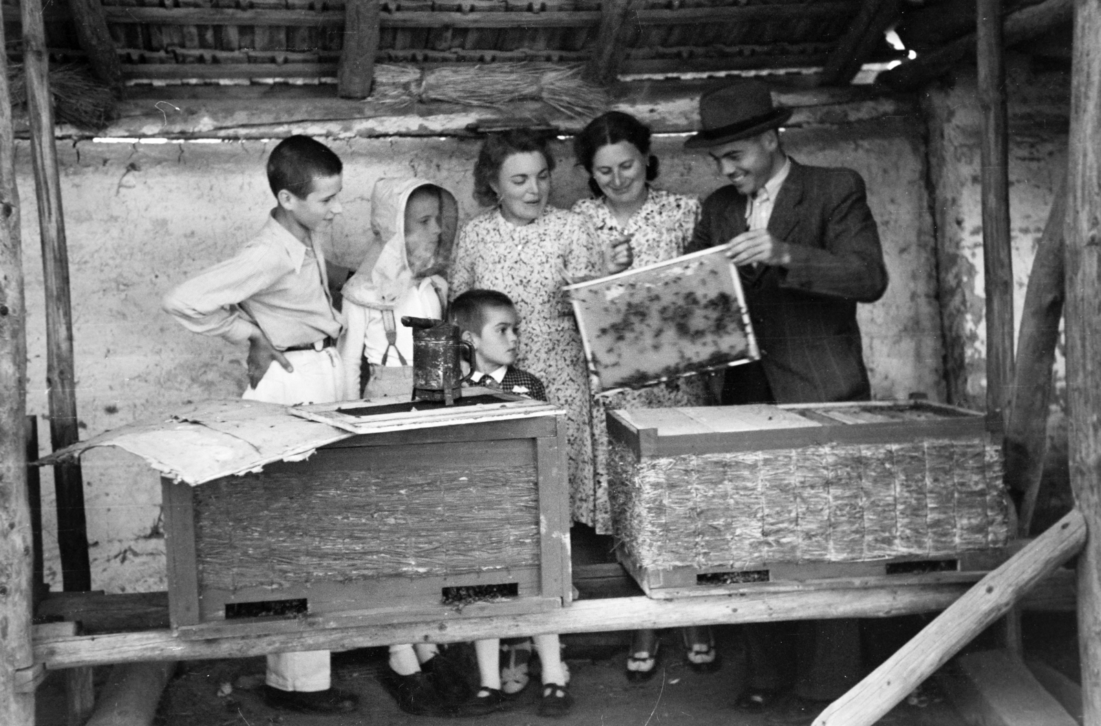 Hungary, Szombathely, Perint (ekkor önálló, ma a város része), a felvétel 1942. július 12-én készült., 1942, Nagy István, apiary, Best of, Fortepan #264472