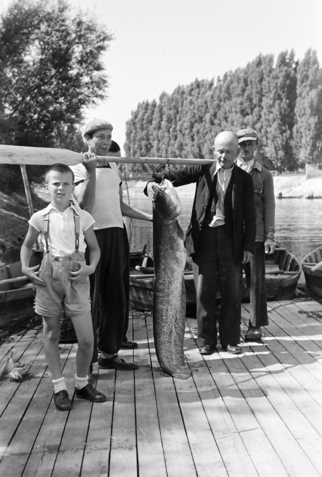 Hungary, Győr, a Rába folyó partja a Püspökvár alatti szakaszon. A harcsa súlya 24 kg, hossza 161 cm. A felvétel 1942. augusztus 24-én készült., 1942, Nagy István, tableau, Fortepan #264484