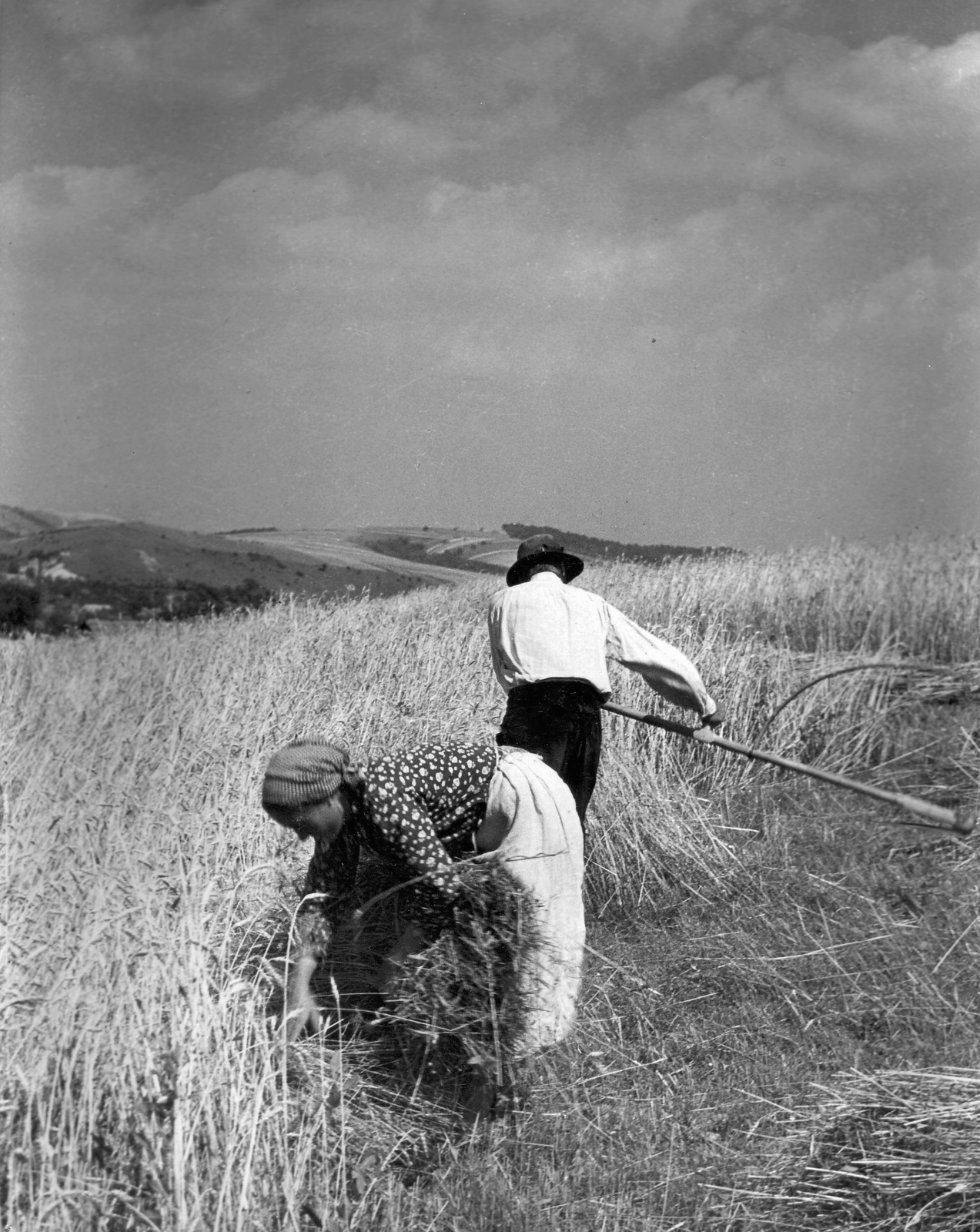 Kézi kaszás aratás, a kalászokat marokszedő gyűjti., 1930, Nagy László, agriculture, harvest, Fortepan #26450