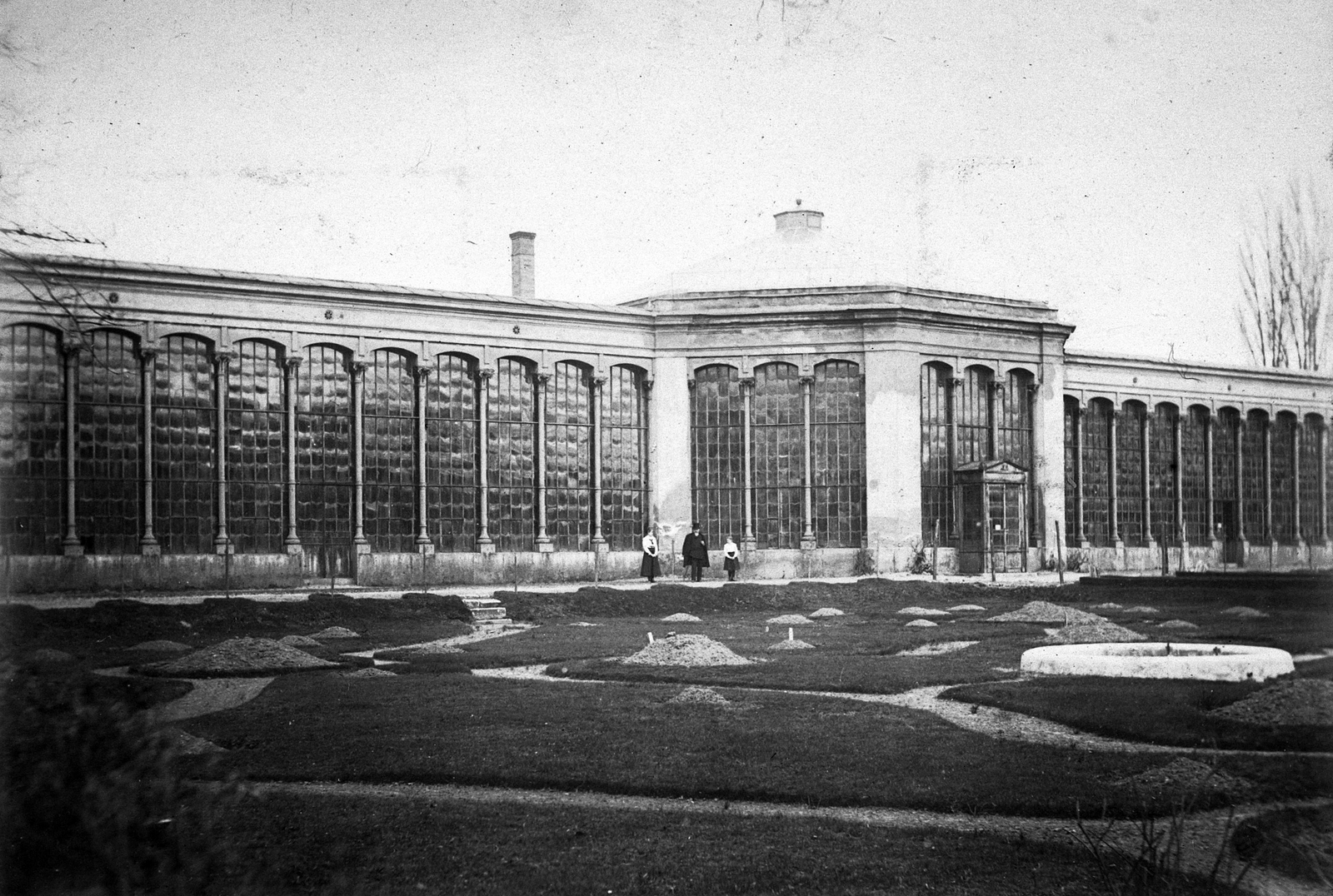 Hungary, Budapest VIII., Füvészkert., 1910, ELTE Fűvészkert, Budapest, botanical garden, Fortepan #26457