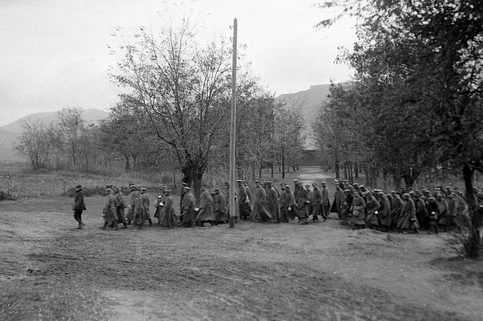 1916, Fortepan, First World War, uniform, soldier, German soldier, Fortepan #2646