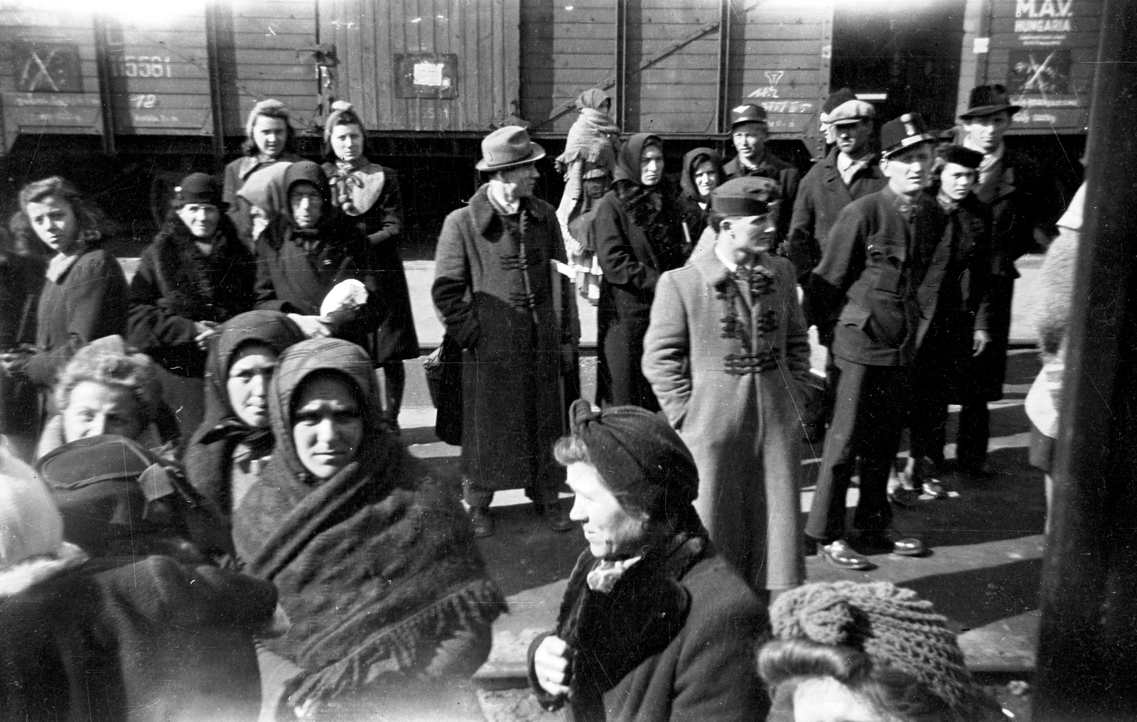 1943, Ladinek Viktor, Fortepan #264784