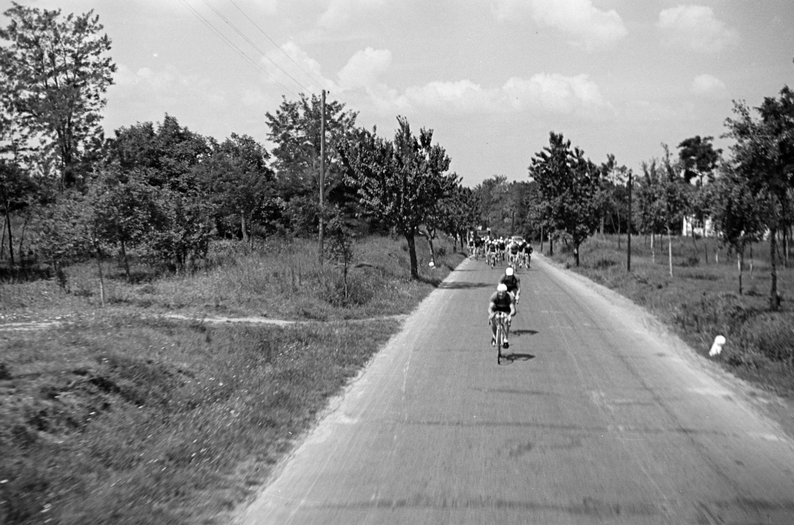 1954, Horváth József, bicycle race, Fortepan #264928