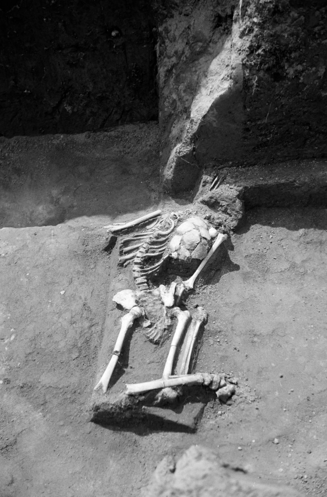 1959, Horváth József, skeleton, excavation, archeology, Fortepan #264956