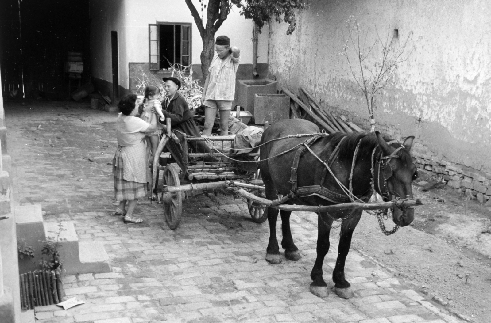 Hungary, Bátaszék, 1958, Horváth József, family, yard, chariot, Horse-drawn carriage, Fortepan #264967