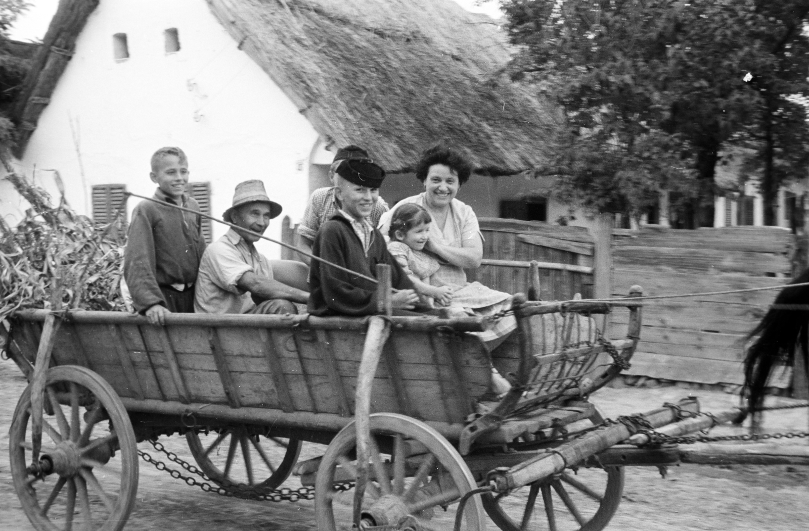 Hungary, Bátaszék, 1958, Horváth József, family, chariot, fun, Fortepan #264969
