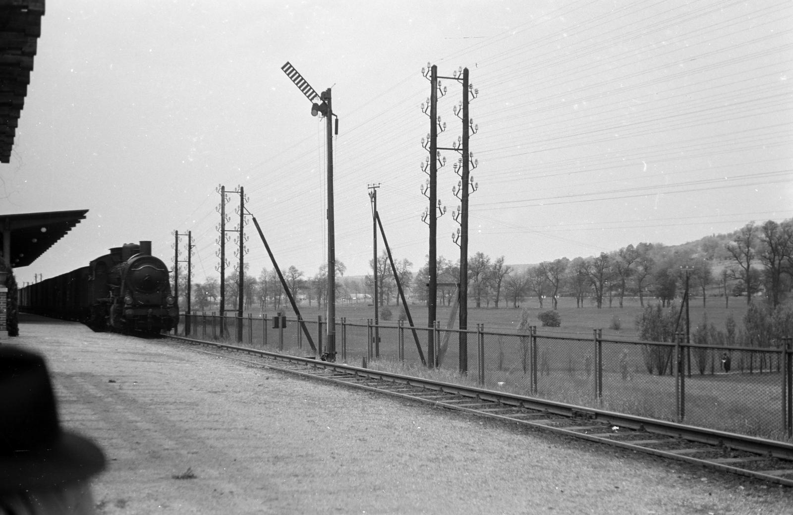 1955, Horváth József, gőzmozdony, vasútállomás, vasúti jelző, Fortepan #264992