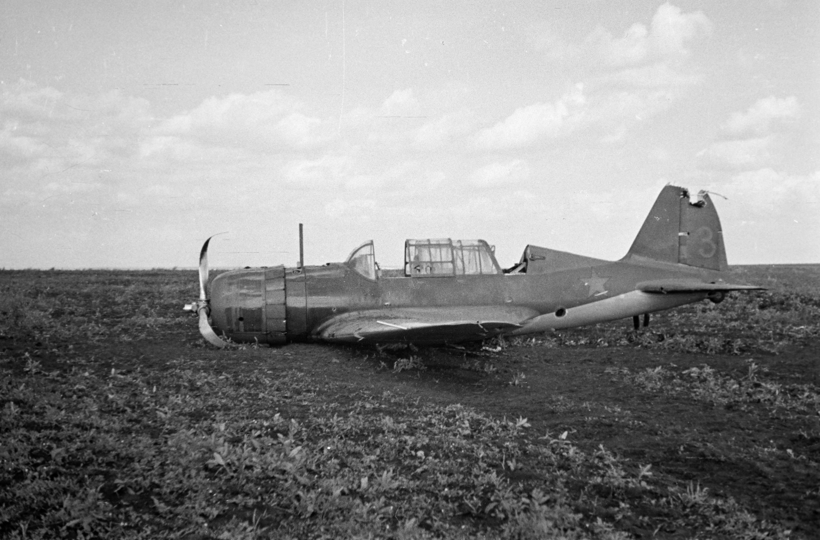Ukrajna, 1941, Horváth József, Szuhoj Szu-2, járműroncs, repülőgép, Szuhoj-márka, keleti front, Fortepan #265214