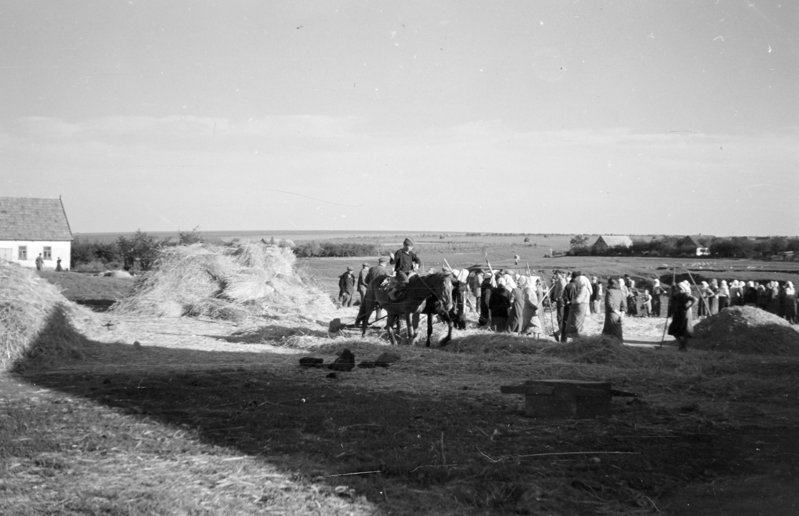 Ukraine, 1941, Horváth József, eastern front, Fortepan #265271