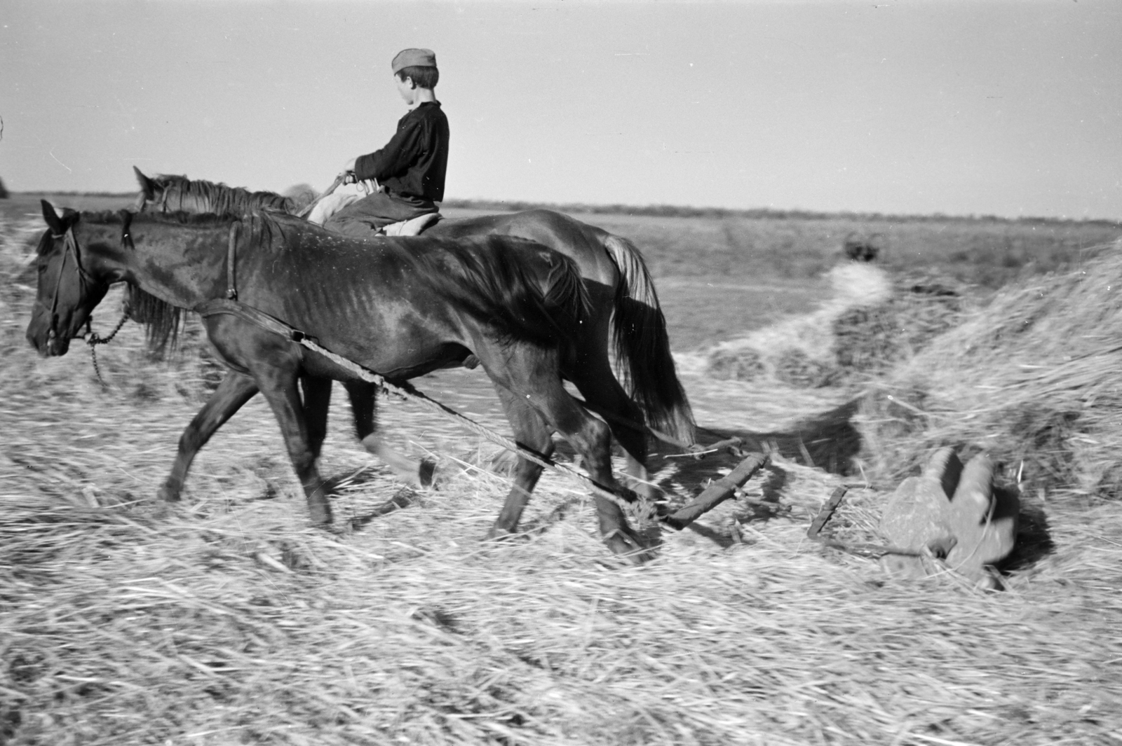 Ukraine, 1941, Horváth József, eastern front, threshing, Fortepan #265352