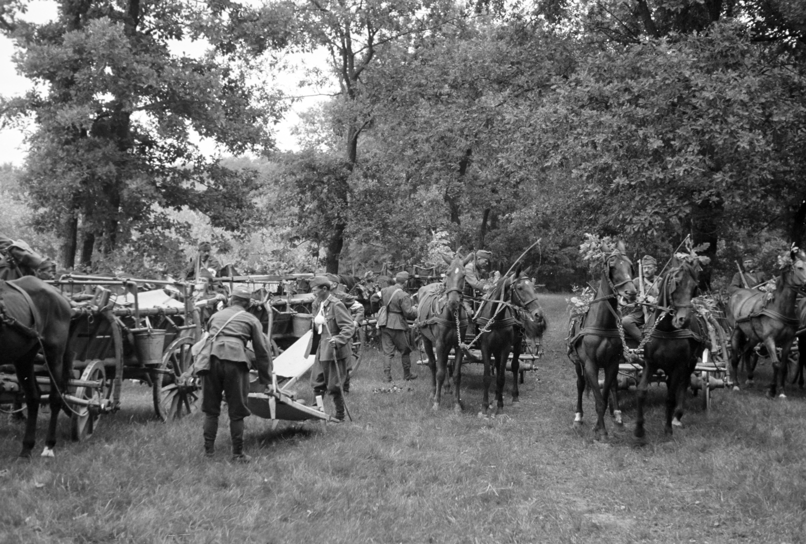 Magyarország, sebesültszállítást gyakorló katonák. A dr. Frank orvos tábornok tervezte, hordágyfüggesztővel felszerelt, országos jármű / katonai célokra kifejlesztett, alkatrészeiben szabványosított faanyagú, ló vontatta szekerek., 1940, Horváth József, szekér, sebesült, vöröskereszt, karszalag, lovaskocsi, Fortepan #265376