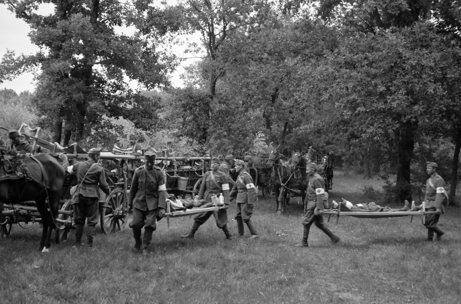 Hungary, sebesültszállítást gyakorló katonák. A dr. Frank orvos tábornok tervezte, hordágyfüggesztővel felszerelt, országos jármű / katonai célokra kifejlesztett, alkatrészeiben szabványosított faanyagú, ló vontatta szekerek., 1940, Horváth József, chariot, wounded, armband, barrow, Horse-drawn carriage, Fortepan #265377