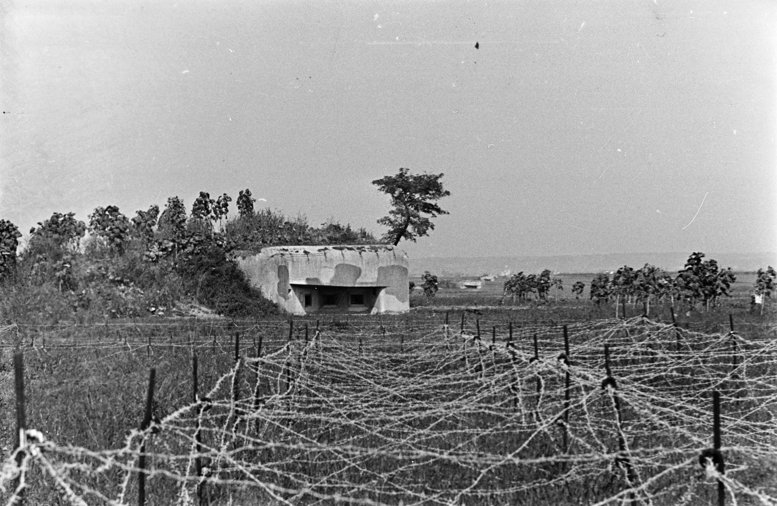 Romania,Transylvania, Észak-Erdély, a Károly (Carol) vonal egyik erődje., 1940, Horváth József, barb wire, fort, Fortepan #265403