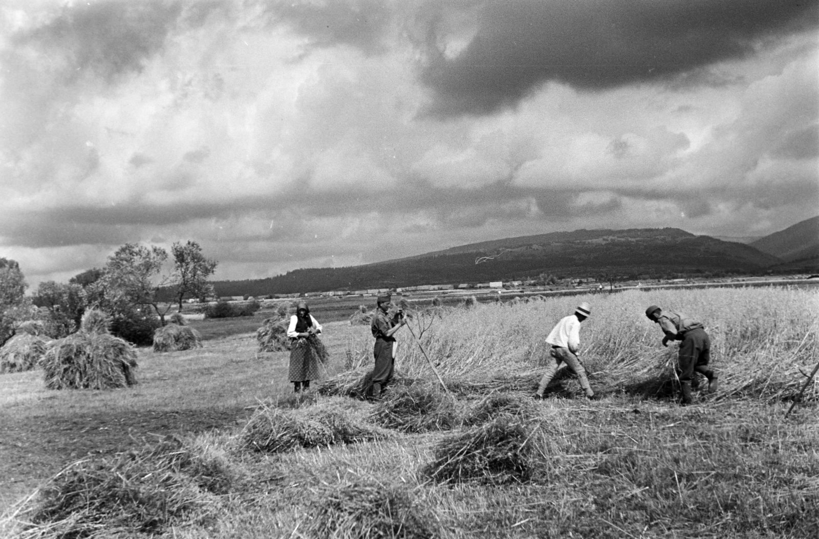 1940, Horváth József, clouds, harvest, whetting, scythe, Fortepan #265460