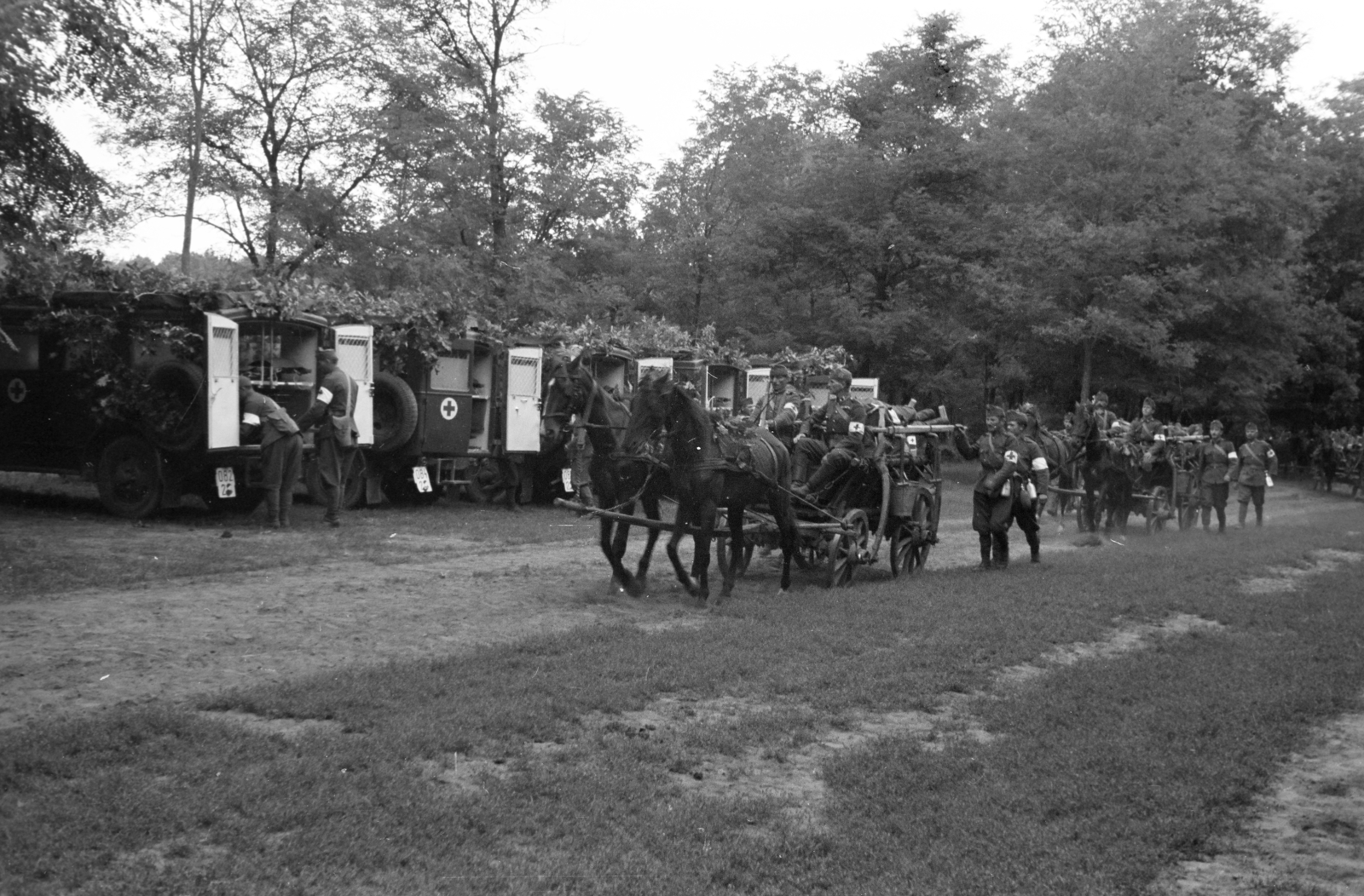 Magyarország, sebesültszállítást gyakorló katonák. A dr. Frank orvos tábornok tervezte, hordágyfüggesztővel felszerelt, országos jármű / katonai célokra kifejlesztett, alkatrészeiben szabványosított faanyagú, ló vontatta szekerek. Balra lombokkal álcázott mentőautók láthatók., 1940, Horváth József, szekér, mentőautó, katona, ló, Fortepan #265508