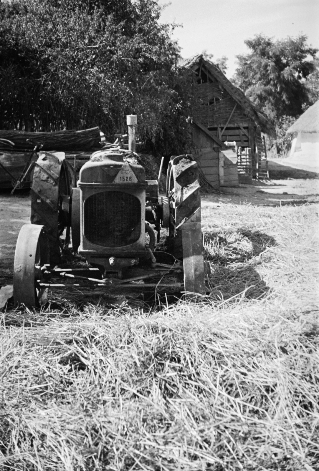 1951, Horváth József, tractor, Fortepan #265643