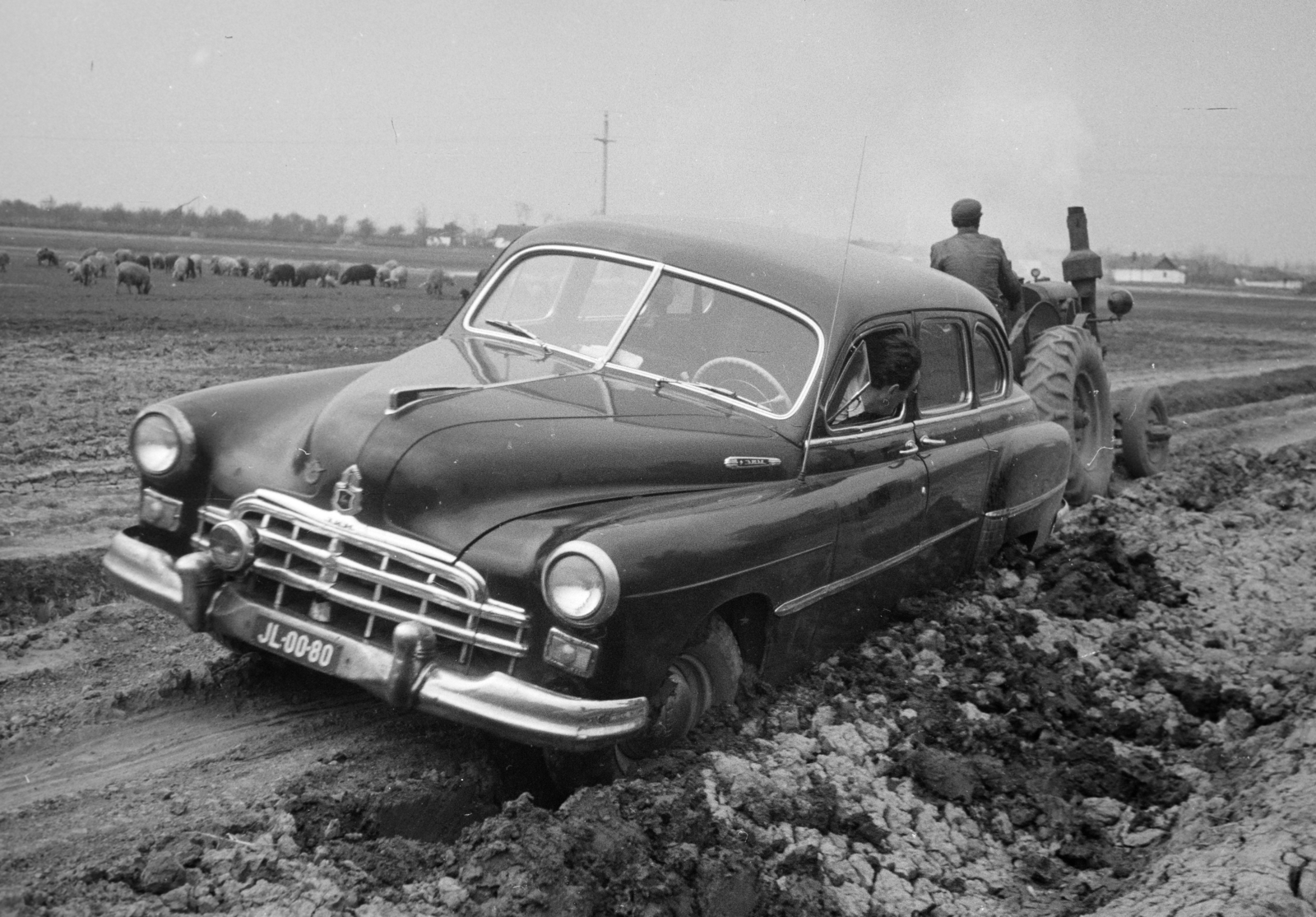 1959, Horváth József, number plate, tractor, accident, pig, H.S.C.S-brand, Fortepan #265680