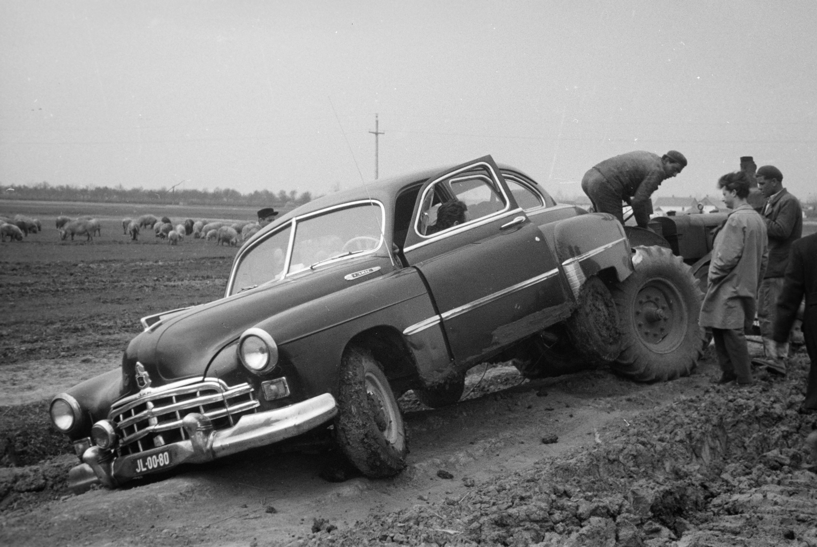 1959, Horváth József, number plate, tractor, accident, pig, H.S.C.S-brand, Fortepan #265681