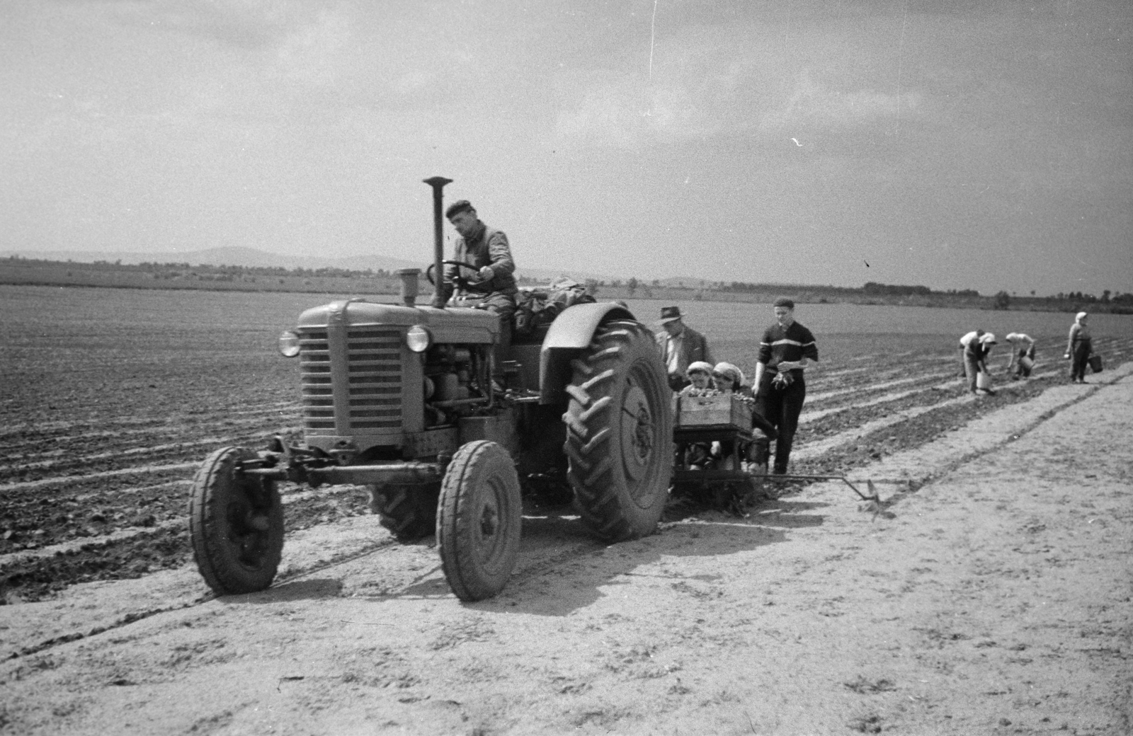 1961, Horváth József, traktor, palánta, mezőgazdaság, mezőgazdasági gép, Fortepan #265714