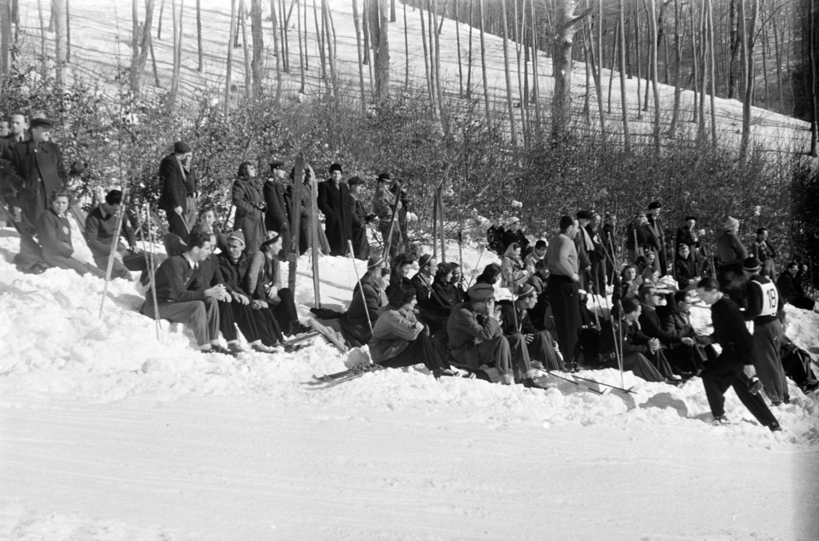 1953, Horváth József, skiing, hillside, waiting, snowy landscape, Fortepan #265817