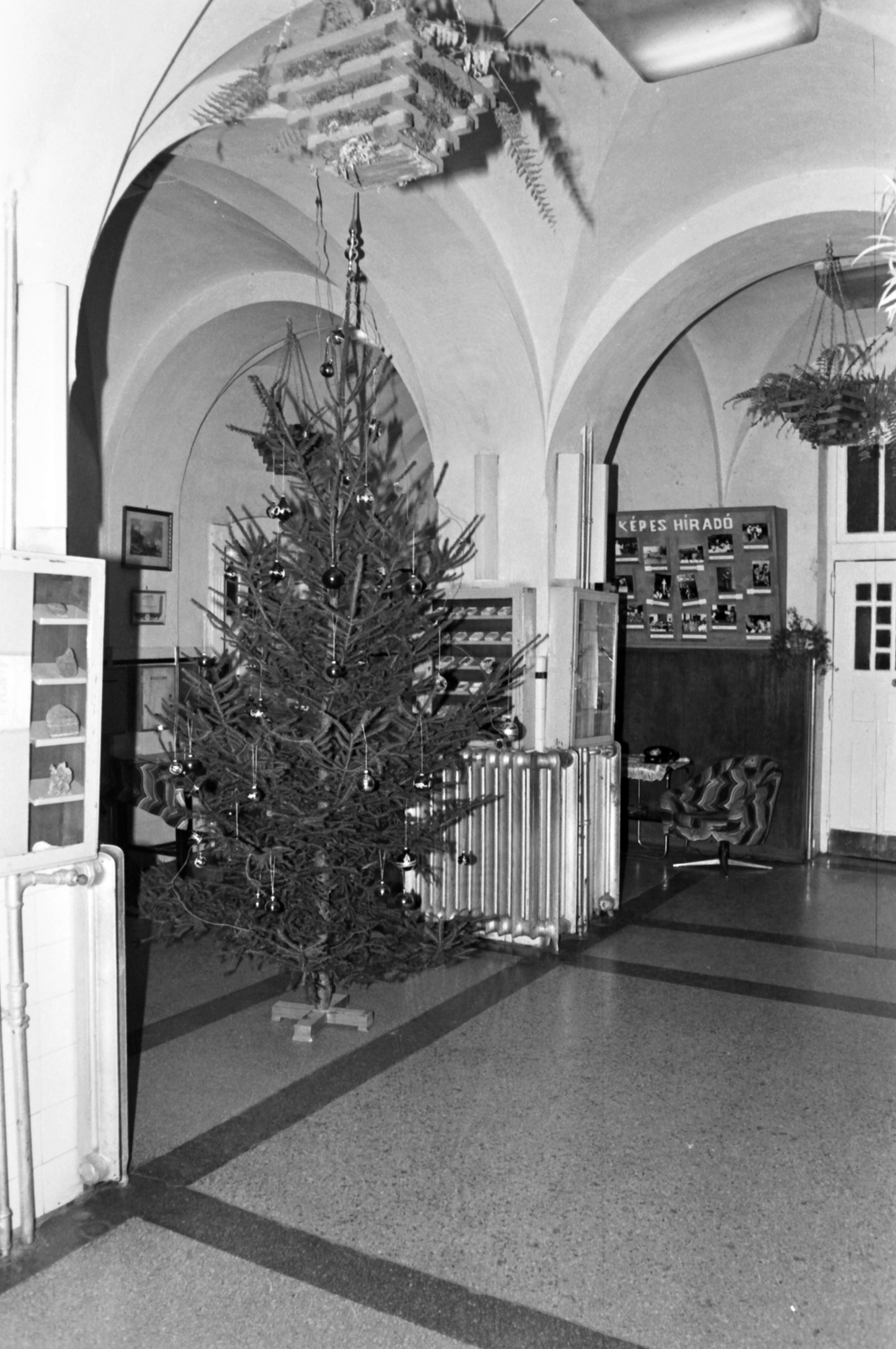Hungary, Kőszeg, karácsonyfa a MÁV Nevelőintézetben., 1962, Baráth Endre, Christmas, Fortepan #26613