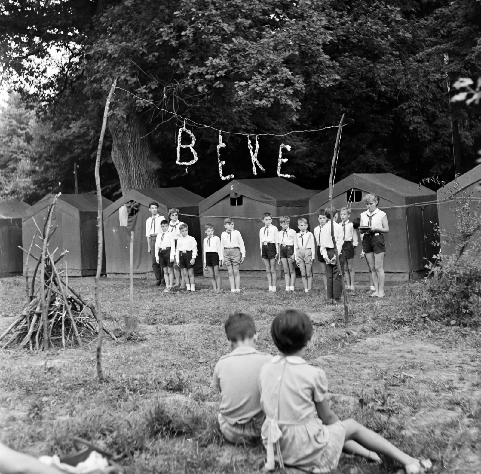 1966, Szilvási hagyaték, Úttörőtábor, béke, Fortepan #266443
