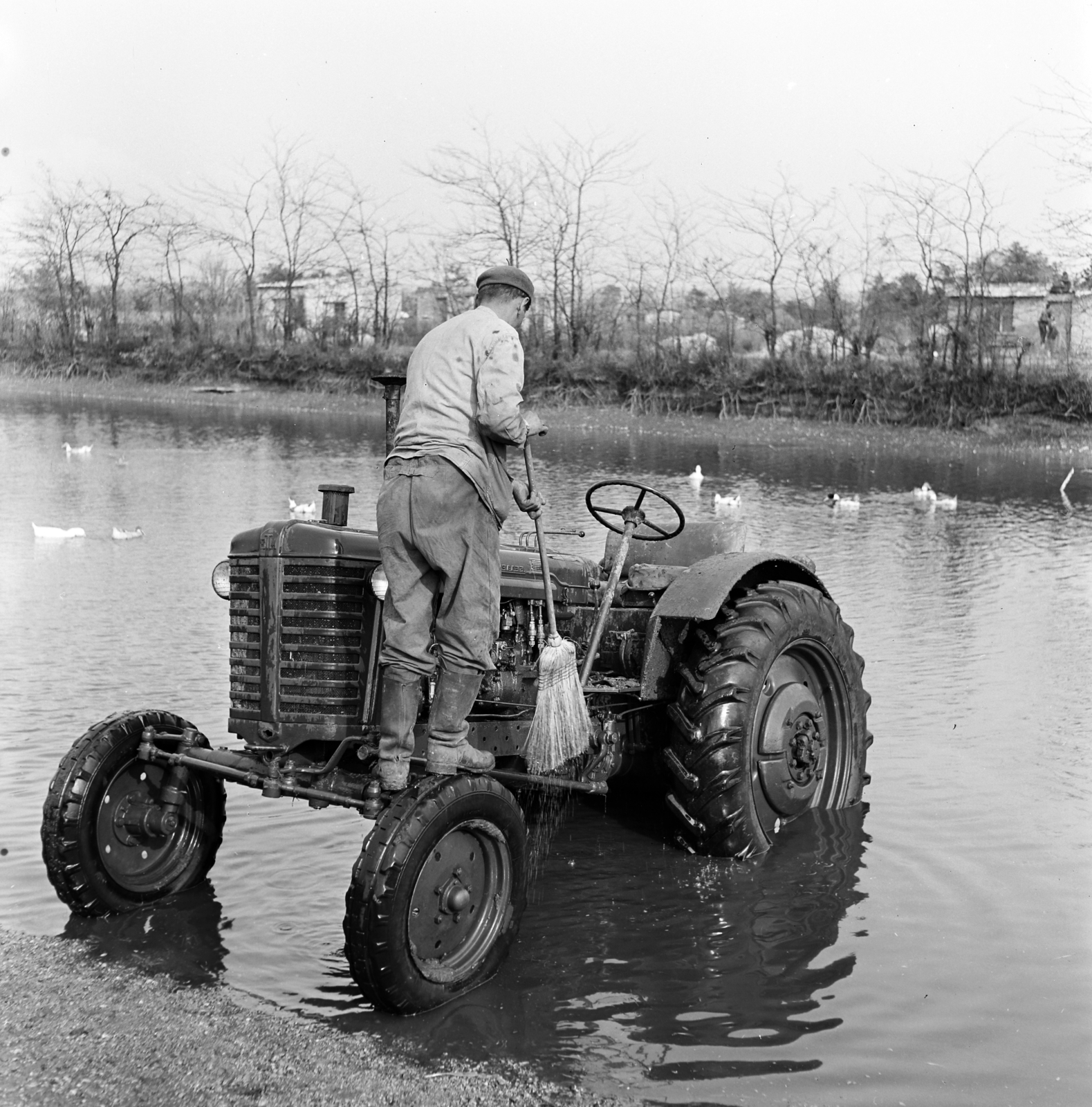1963, Szilvási hagyaték, duck pond, tractor, toddler bathing, Fortepan #266468