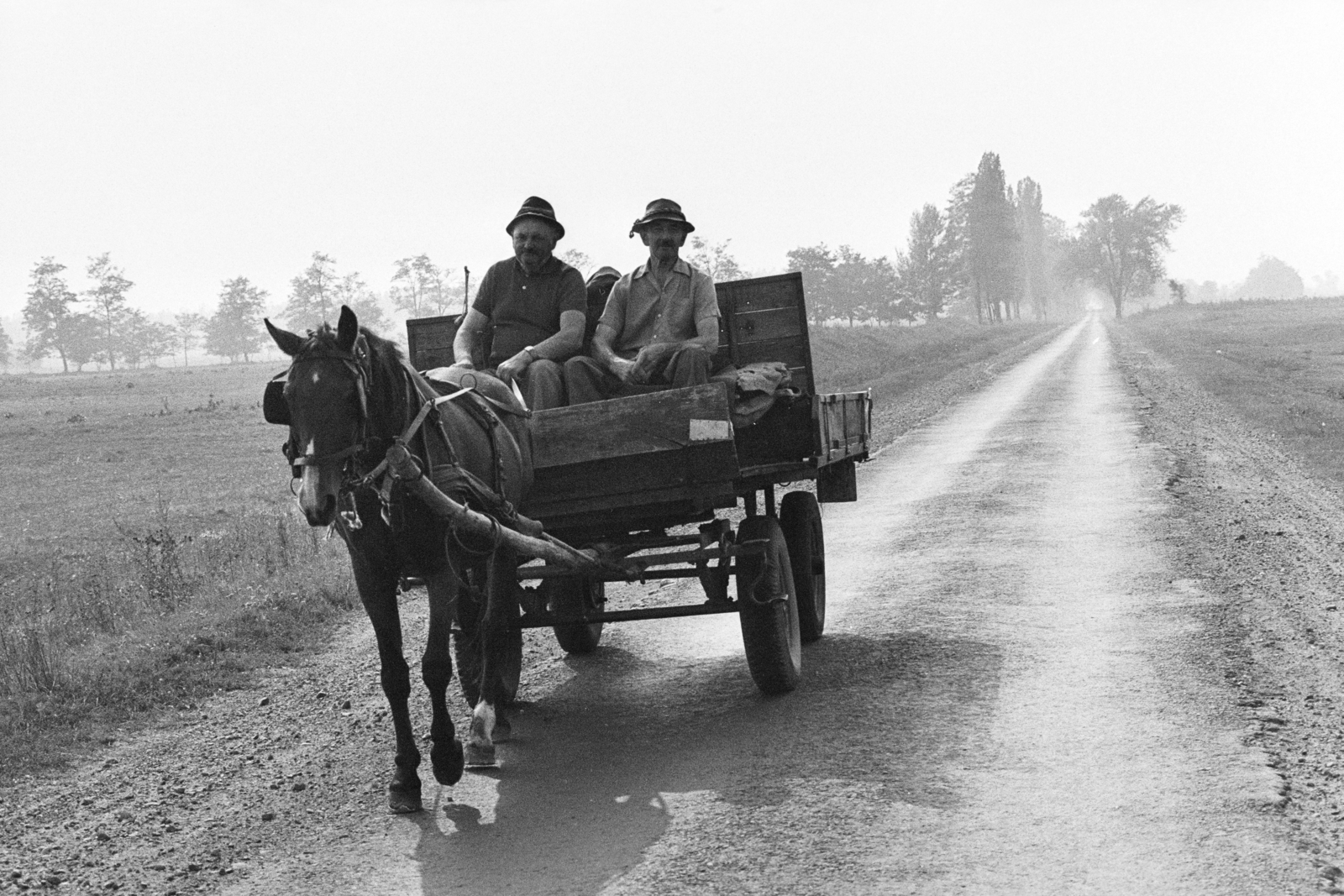 Hungary, Cegléd, lovaskocsi a város határában., 1986, Vimola Károly, Horse-drawn carriage, Fortepan #266841