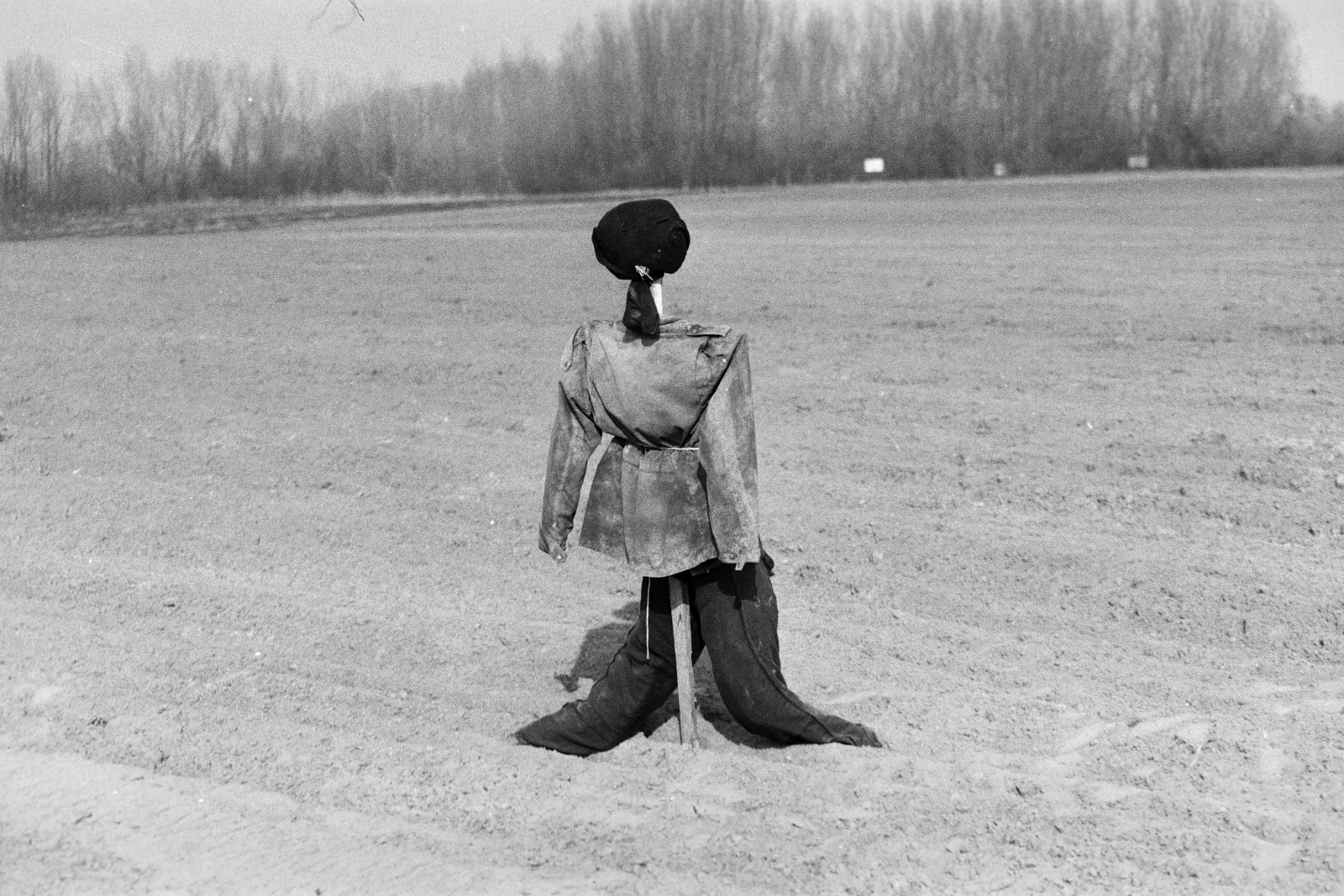 Hungary, 1990, Vimola Károly, scarecrow, Fortepan #266903