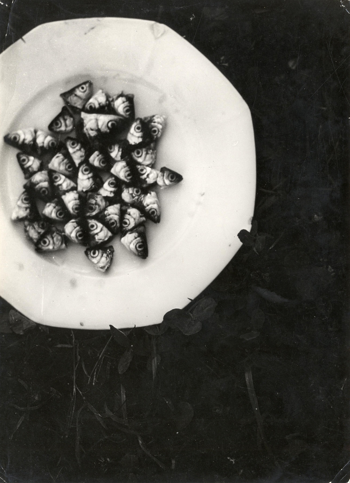 1928, Fortepan/Album077, fish, plate, still life, plan view, abstract, Fortepan #267138