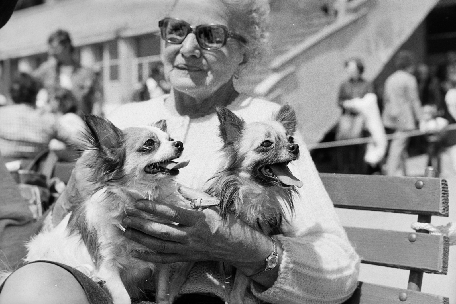 1974, Szentkuthy Ibolya, portrait, old person, dog, Fortepan #267313