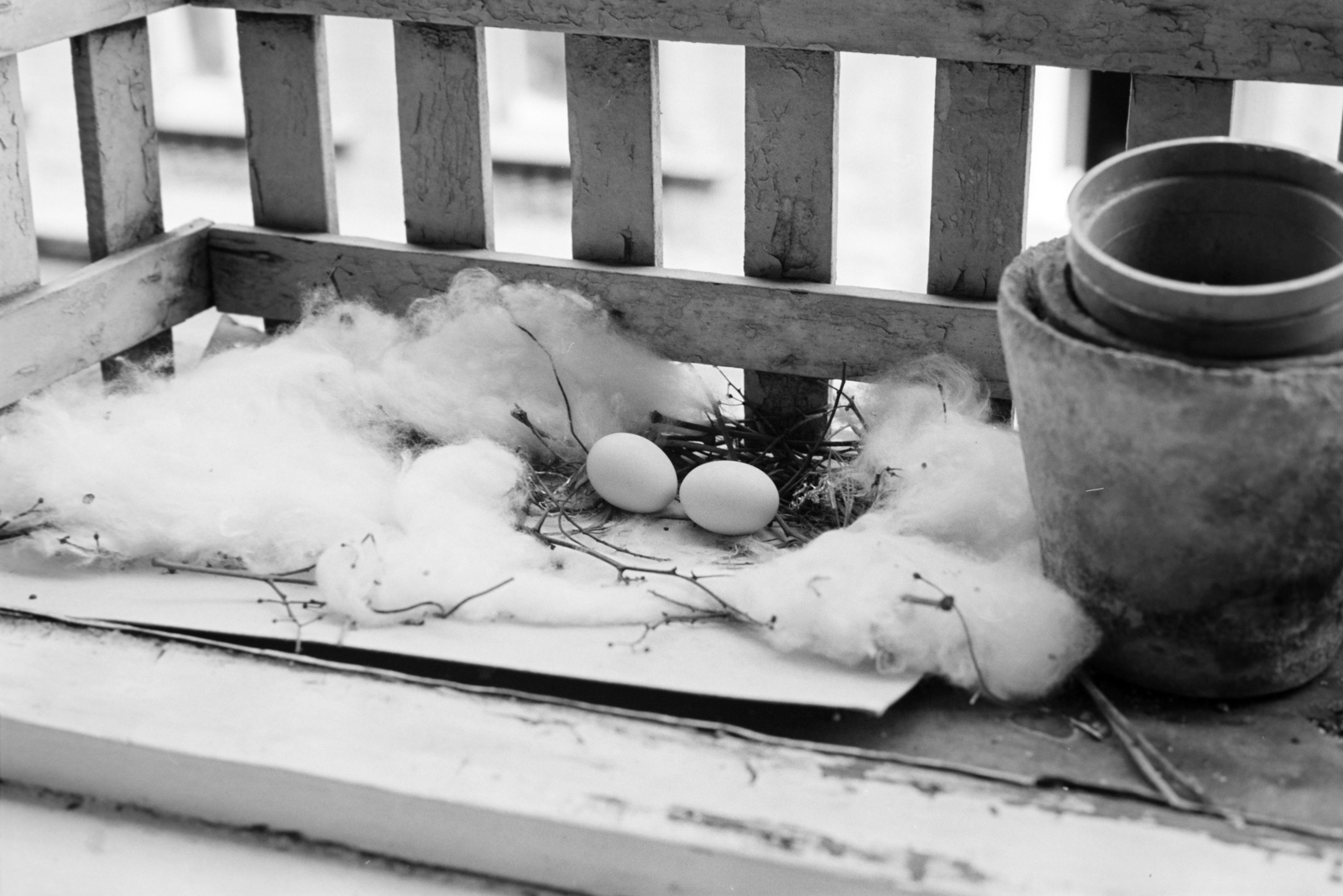 1976, Szentkuthy Ibolya, pot, egg, nest, Fortepan #267404