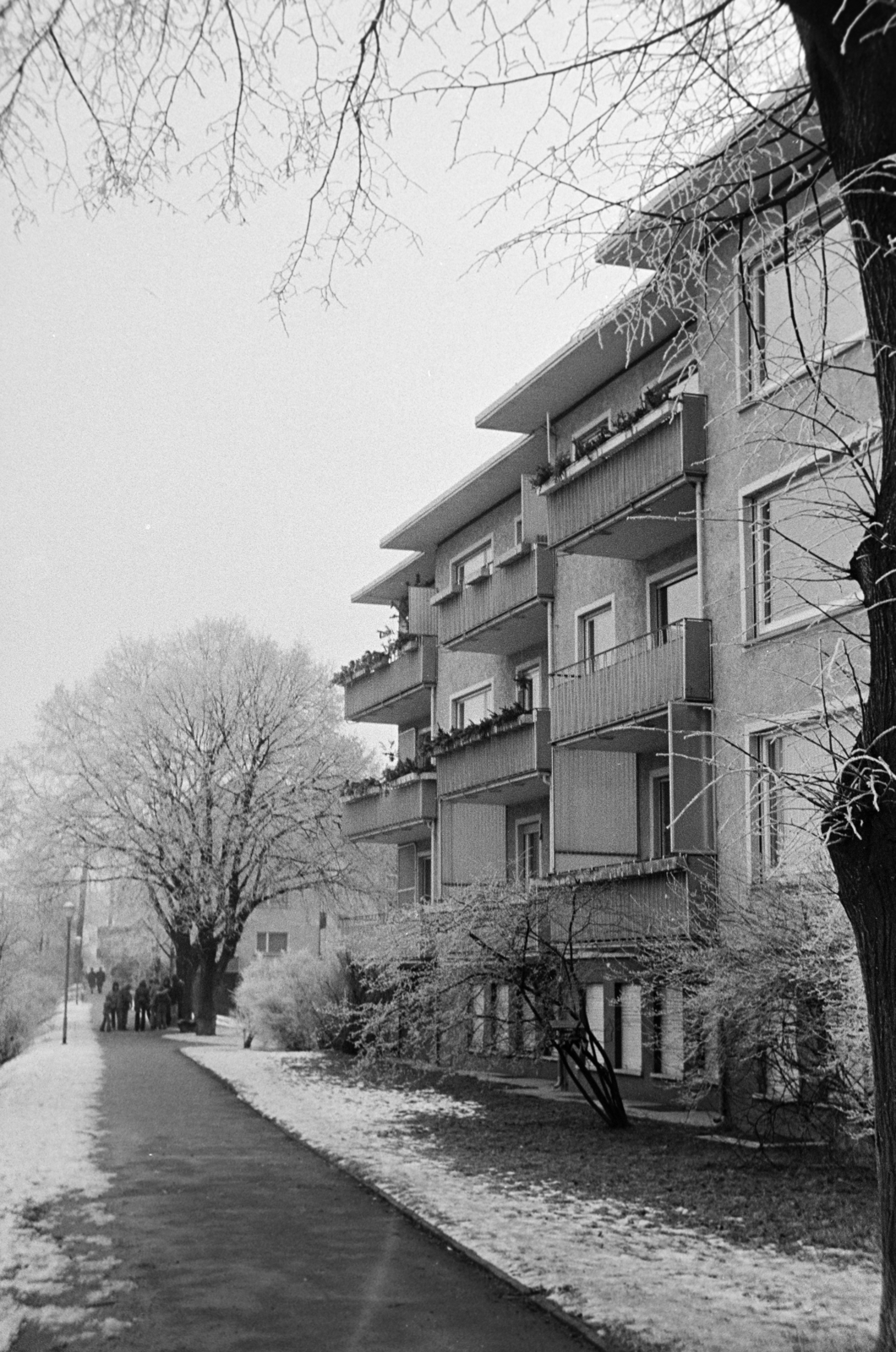 1978, Szentkuthy Ibolya, Fortepan #267479