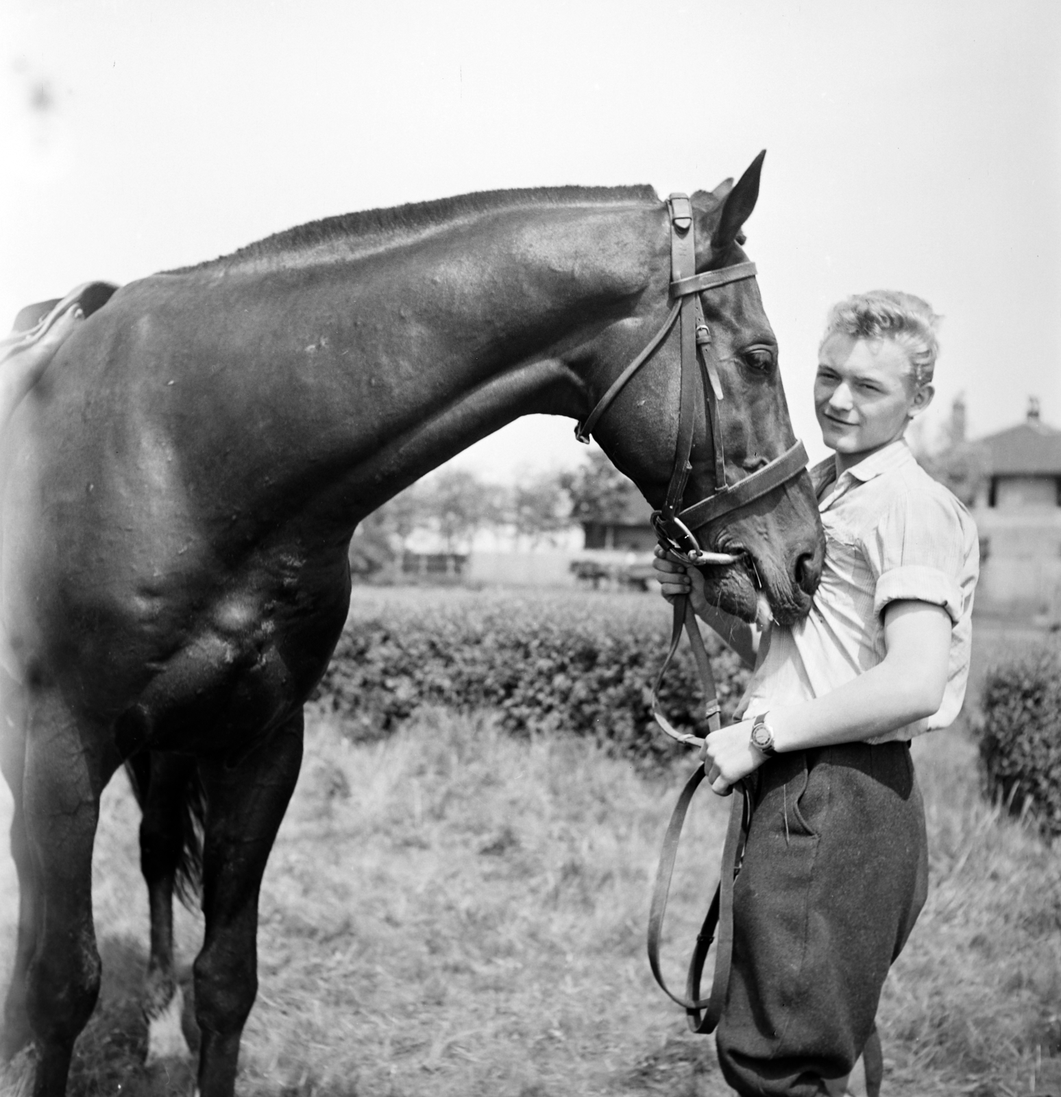 1963, Szentkuthy Ibolya, horse, Fortepan #267527