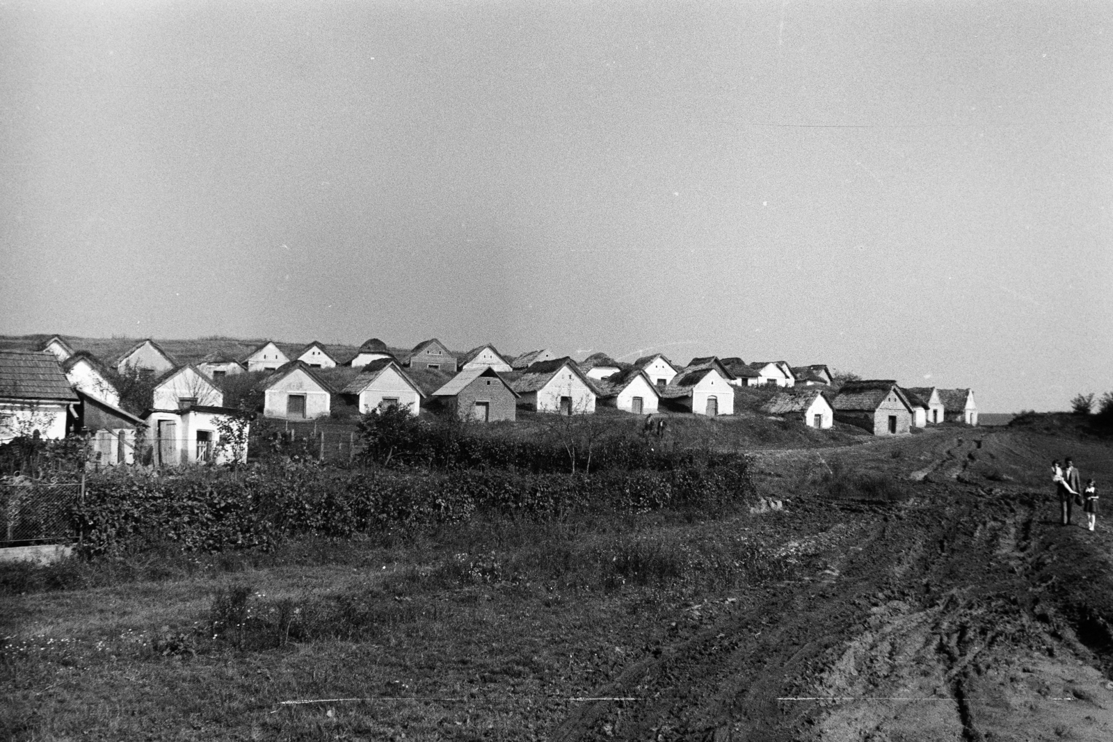Romania,Transylvania, borospincék (Pivnitele Ratesti)., 1963, Kovács Annamária, Fortepan #267666