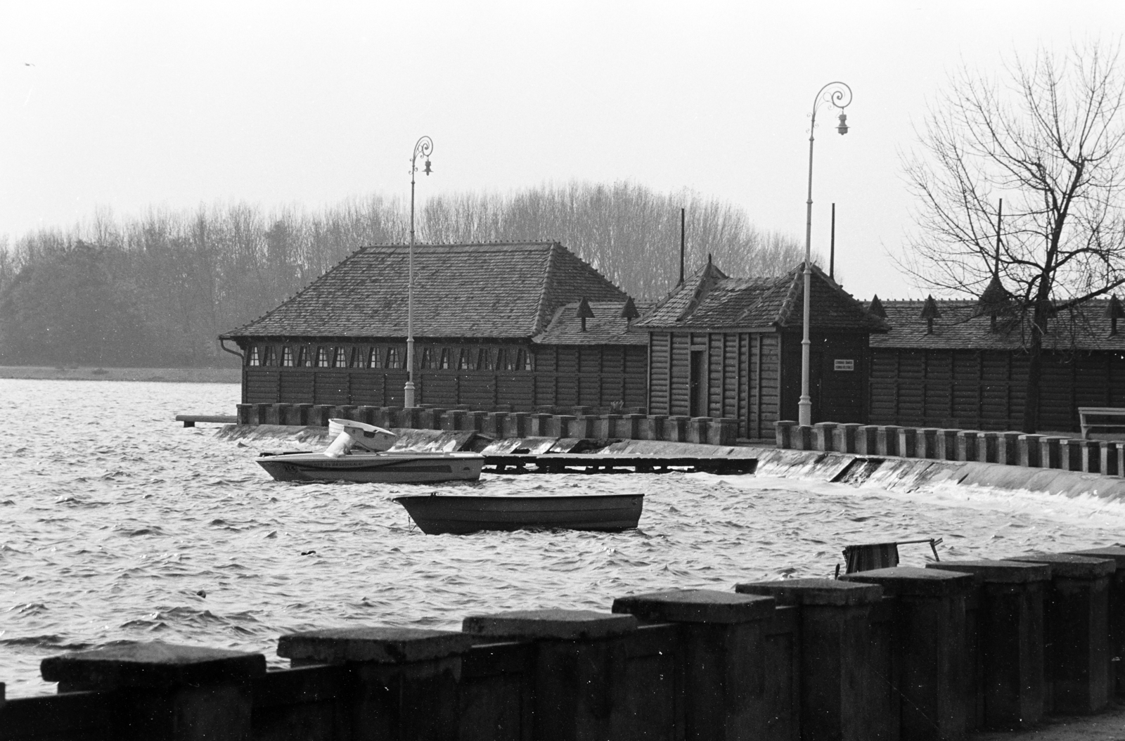Serbia, Palić, a felvétel a Palicsi-tó partján készült., 1976, Dorics István, boat, Fortepan #267942