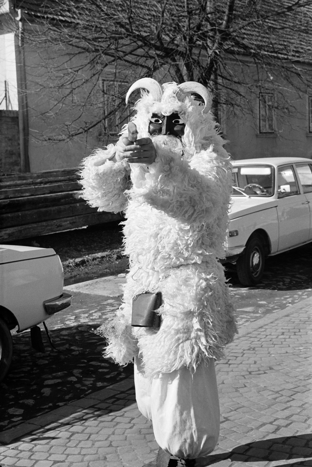 Magyarország, Mohács, a felvétel a busójárás idején készült., 1975, Dorics István, Best of, Fortepan #268006