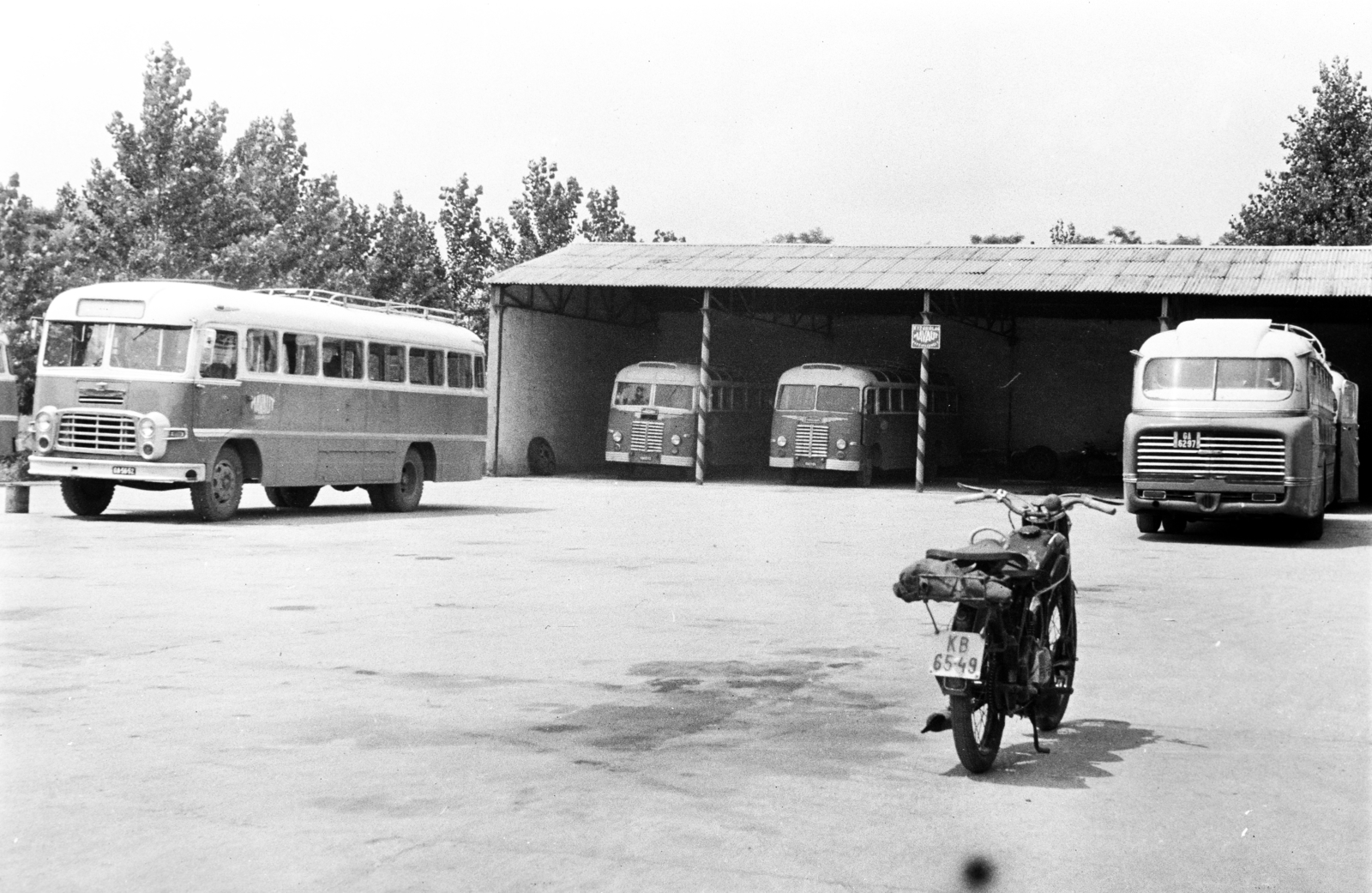 1961, Gárdos Katalin, Ikarus 31/311, Ikarus 55, Ikarus 30, Fortepan #268058