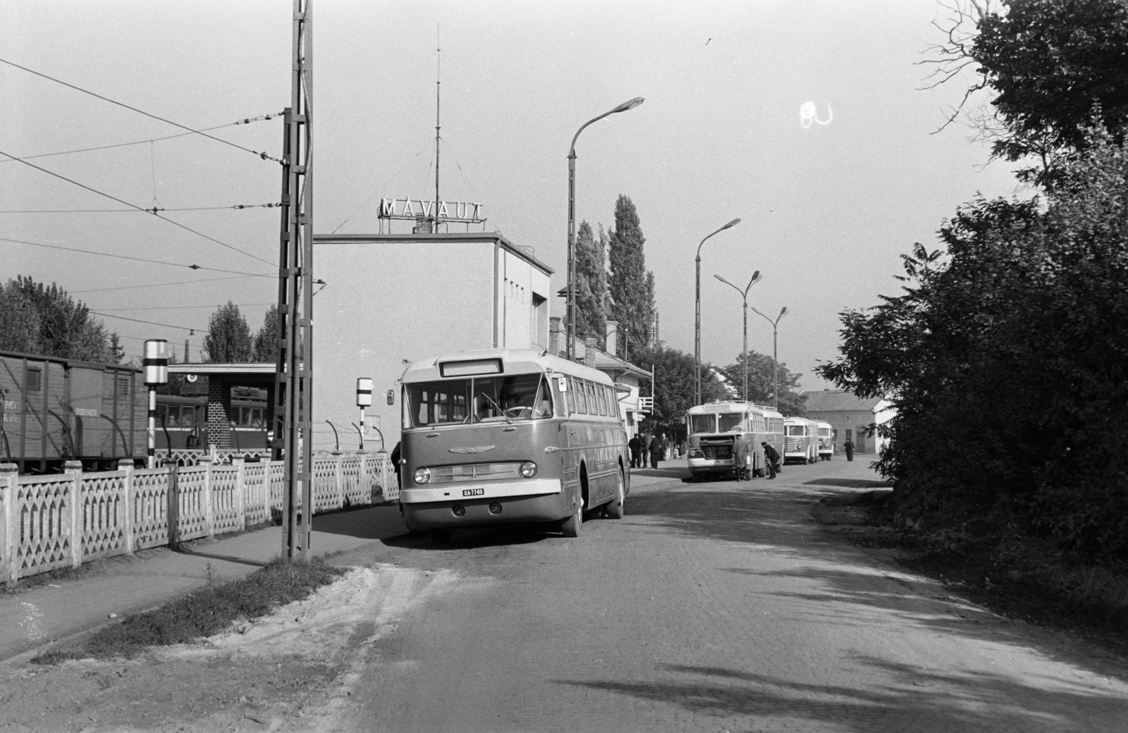 Hungary, Szentendre, Dózsa György út, MÁVAUT autóbusz-pályaudvar, balra a HÉV végállomás., 1966, Gárdos Katalin, Ikarus 620, number plate, ÁMG-brand, Fortepan #268068