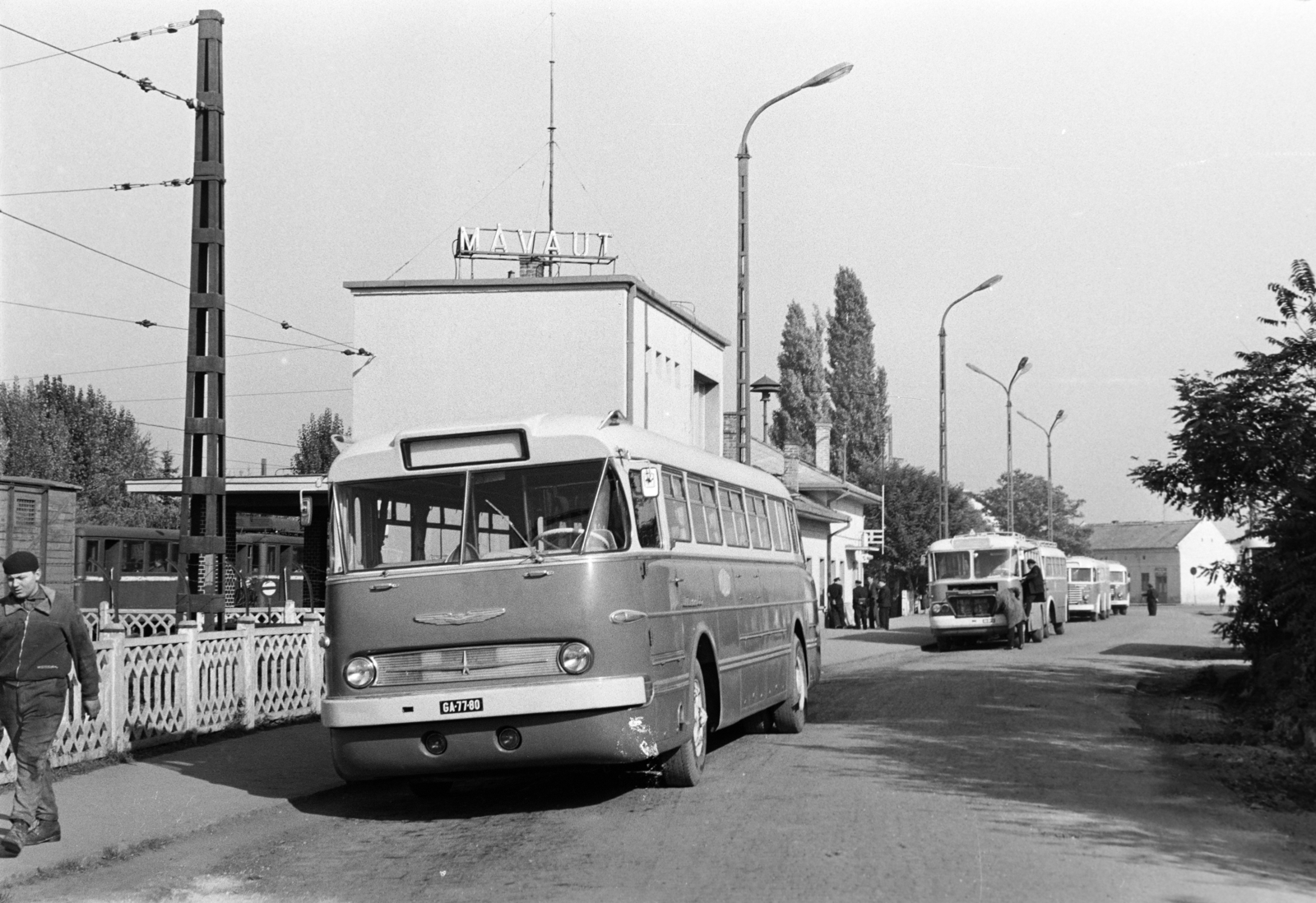 Magyarország, Szentendre, Dózsa György út, MÁVAUT autóbusz-pályaudvar, balra a HÉV végállomás., 1966, Gárdos Katalin, Ikarus 620/630, rendszám, Ikarus 66, Ikarus 602, ÁMG-márka, Fortepan #268069