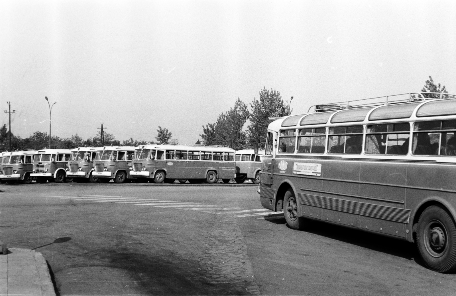 1966, Gárdos Katalin, Ikarus 620, Fortepan #268070