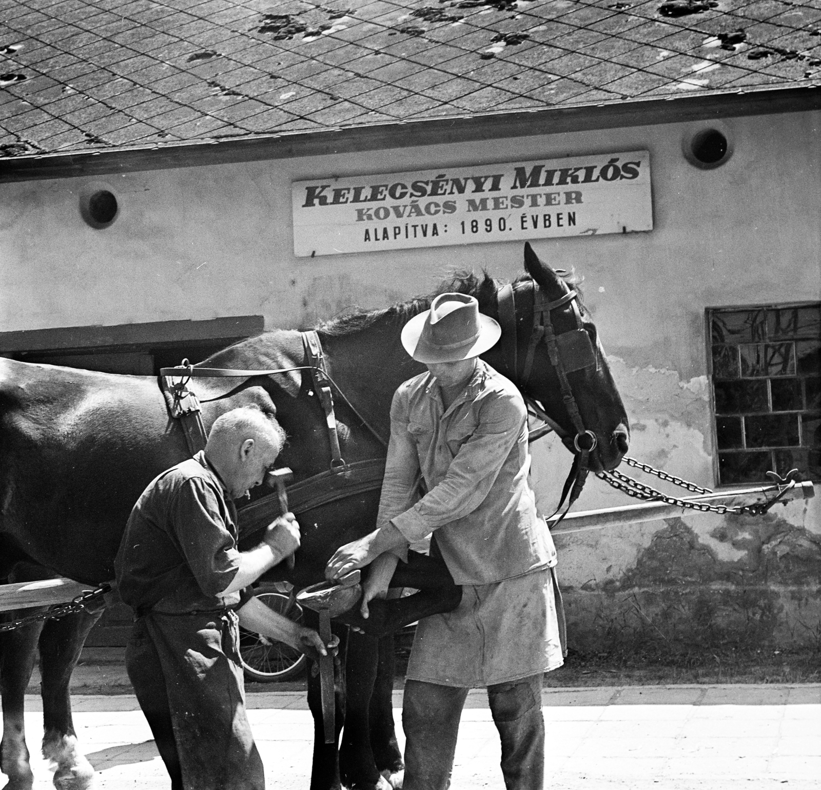 Hungary, Nagykőrös, Bálvány utca 2., a felvétel Kelecsényi Miklós kovácsmester műhelye előtt készült., 1969, Gárdos Katalin, Best of, shoeing, Fortepan #268092