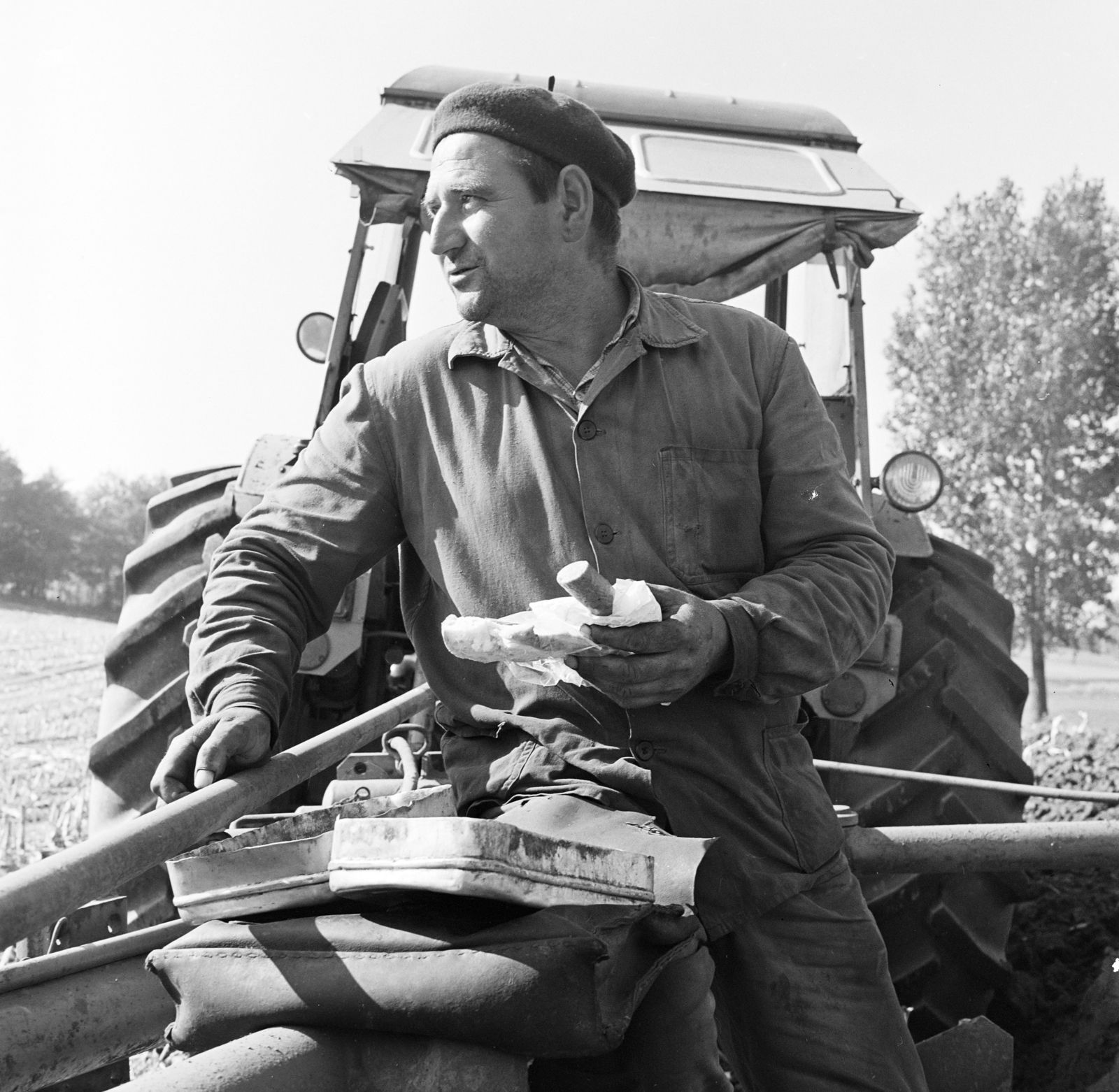 Hungary, Sülysáp, Tápiósüly, a „Virágzó” Termelőszövetkezet traktorosa ebédszünetben a kukoricatáblán., 1970, Gárdos Katalin, worker, tractor, Fortepan #268106