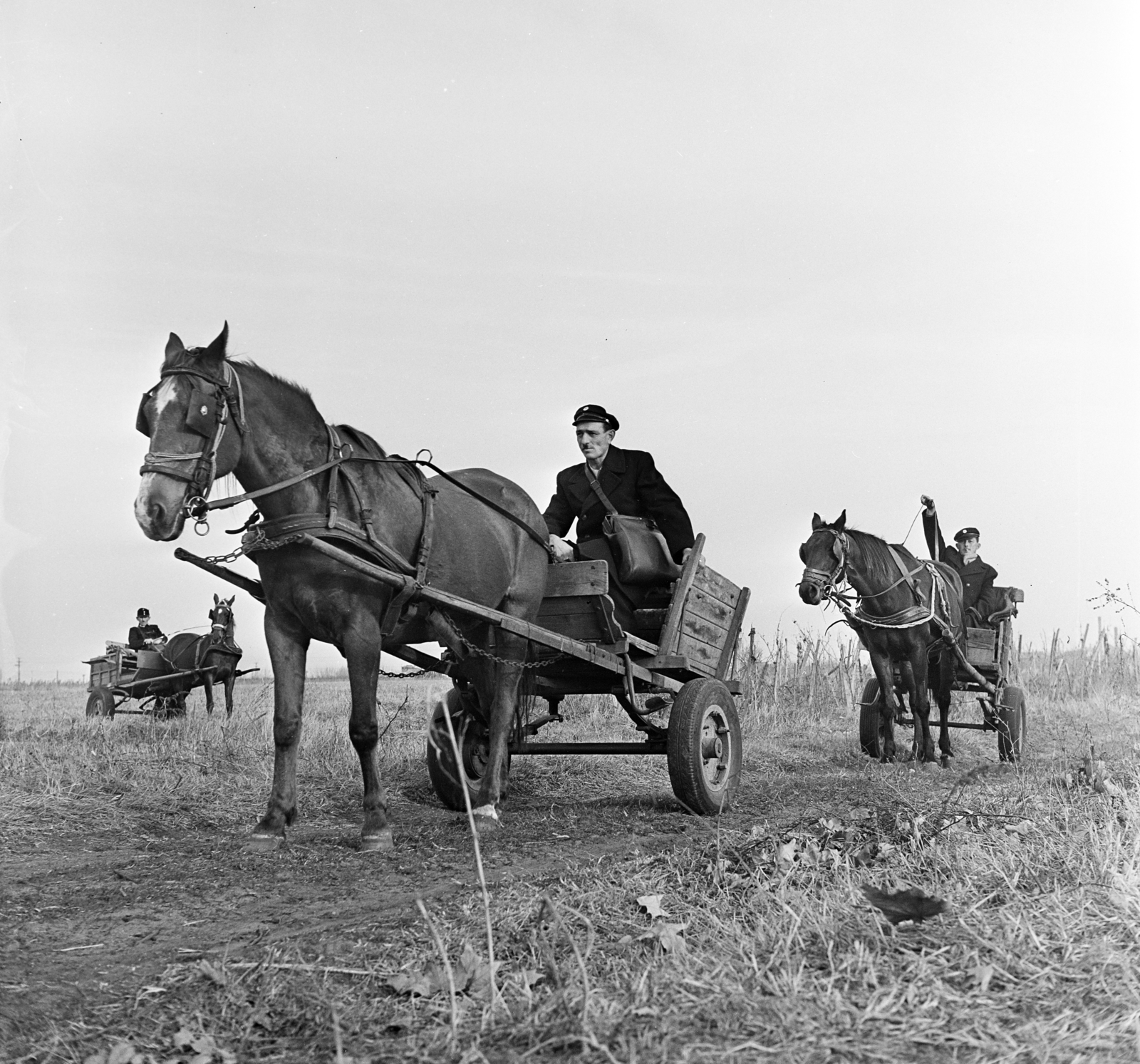 Magyarország, Csemő, a település postásai lovas kordéval viszik a postai küldeményeket a tanyákra., 1970, Gárdos Katalin, ló, szekér, Fortepan #268111