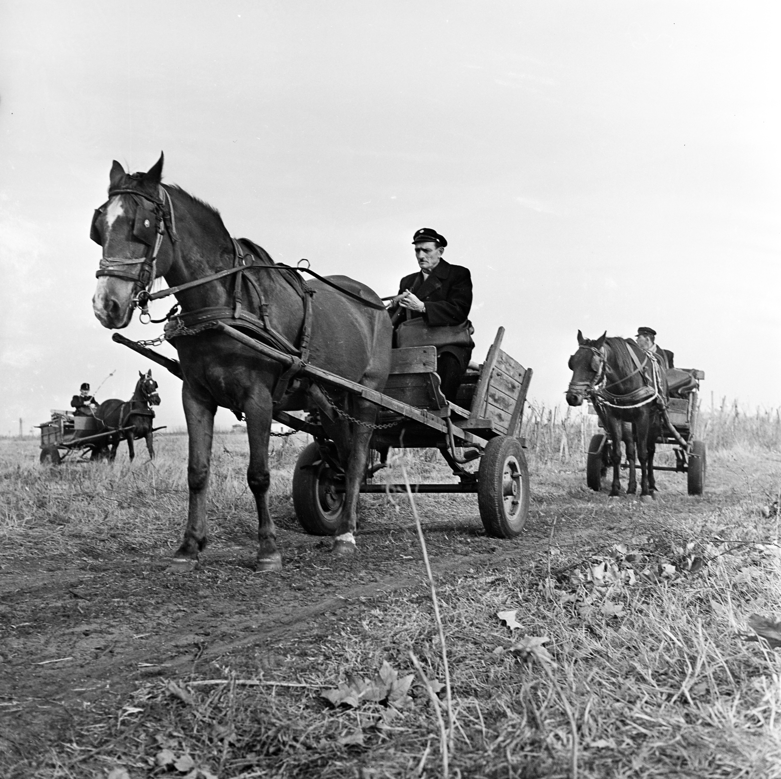 Hungary, a település postásai lovas kordéval viszik a postai küldeményeket a tanyákra., 1970, Gárdos Katalin, Best of, cart, postman, Horse-drawn carriage, Fortepan #268117