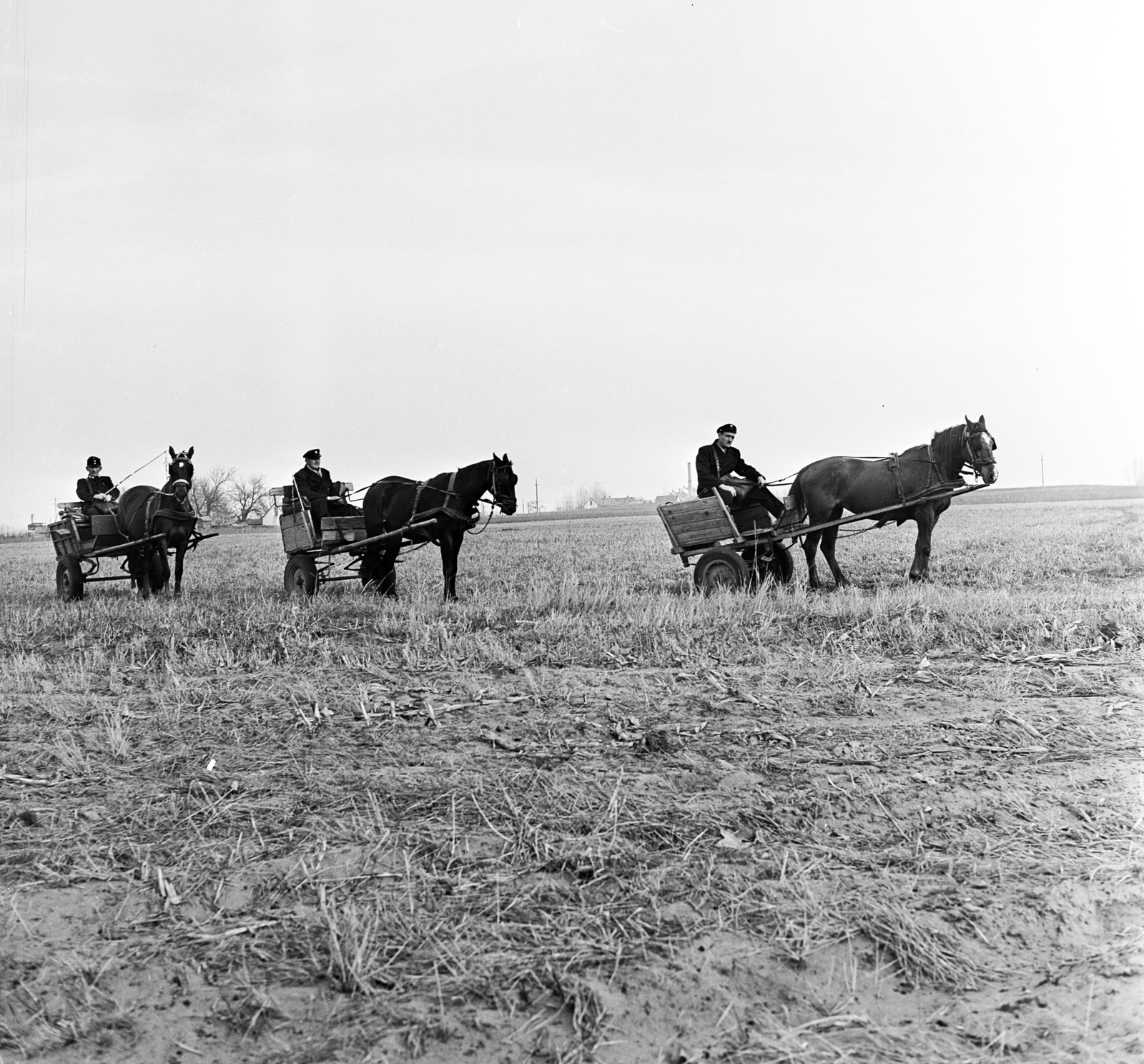 Hungary, a település postásai lovas kordéval viszik a postai küldeményeket a tanyákra., 1970, Gárdos Katalin, postman, uniform, Horse-drawn carriage, cart, horse, Fortepan #268119